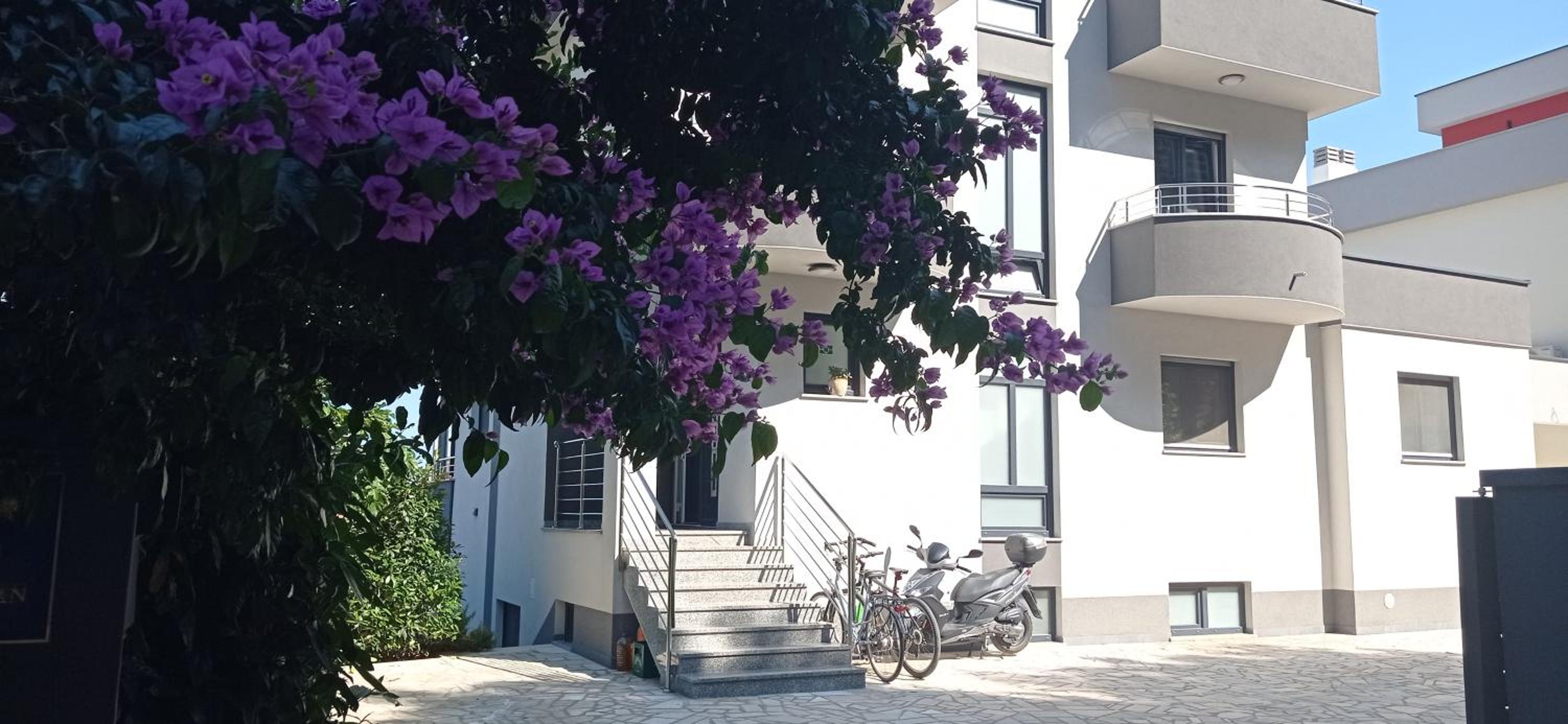 Pula Paradise