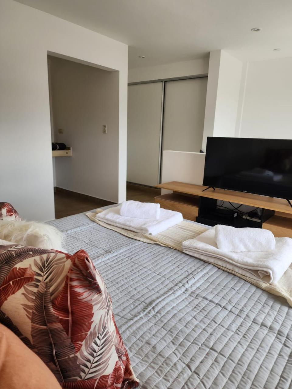 Hotel Mágica Vista, céntrico - Image 1