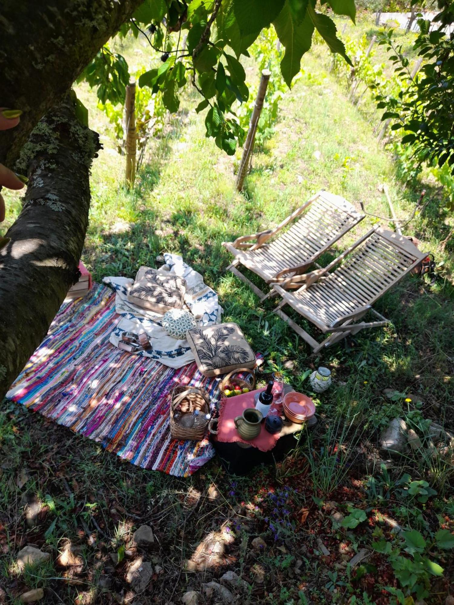 Quinta Manhas Douro