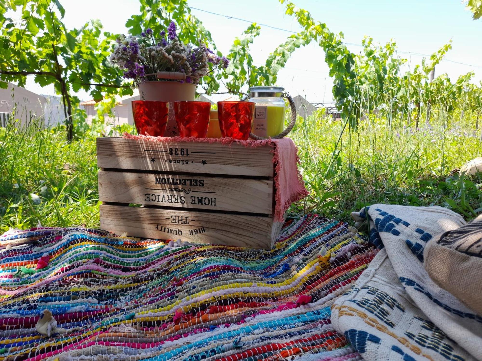 Quinta Manhas Douro