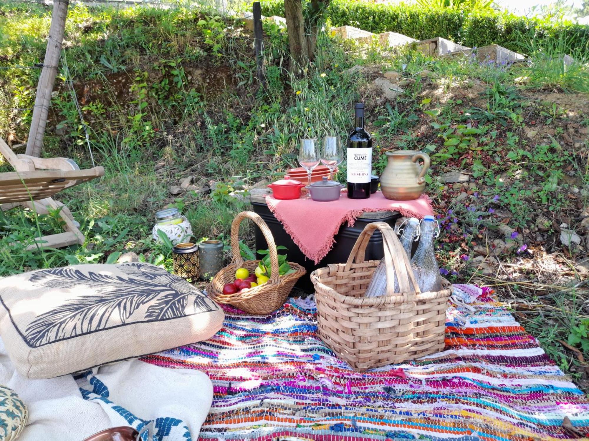 Quinta Manhas Douro