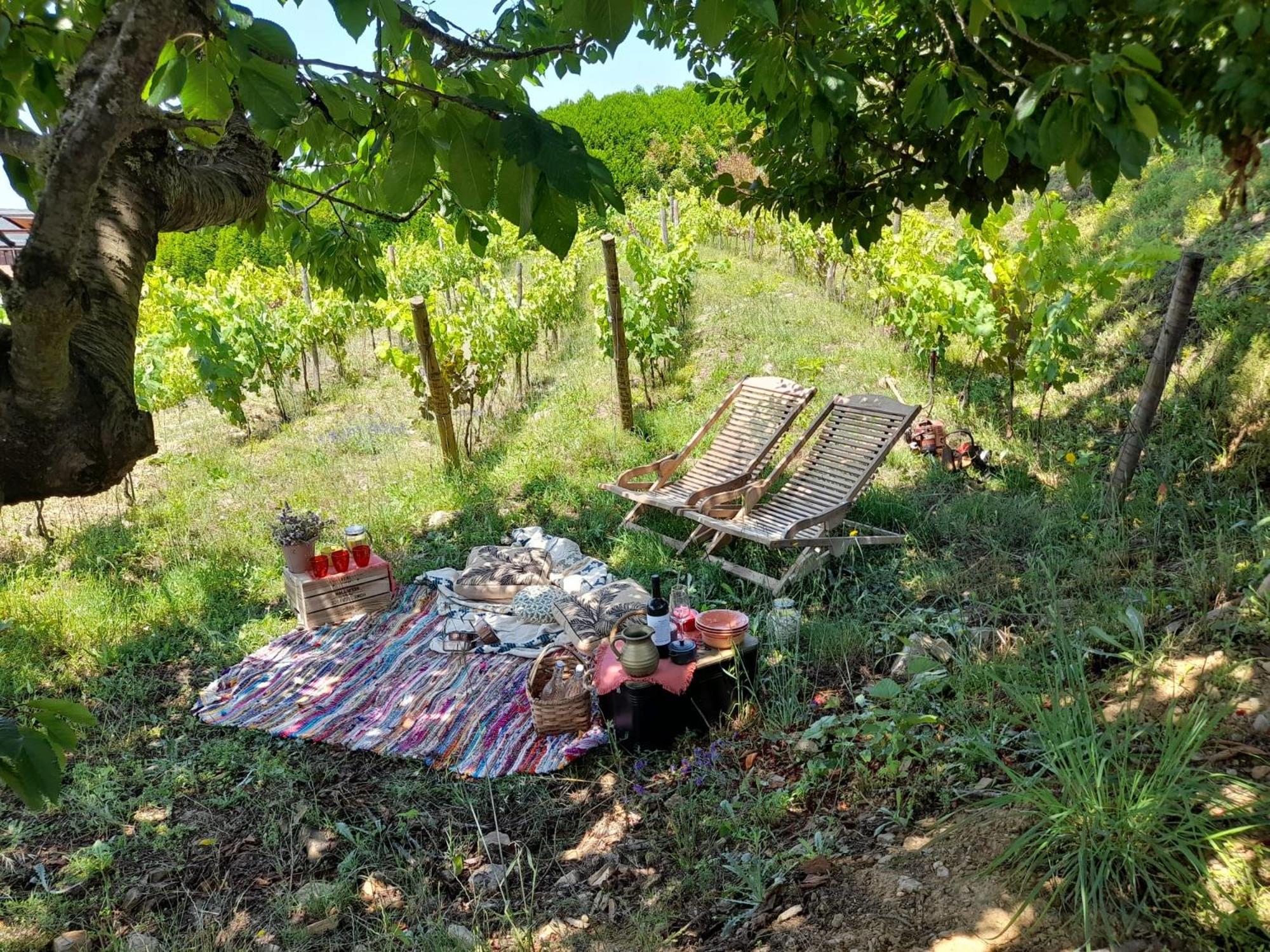 Quinta Manhas Douro