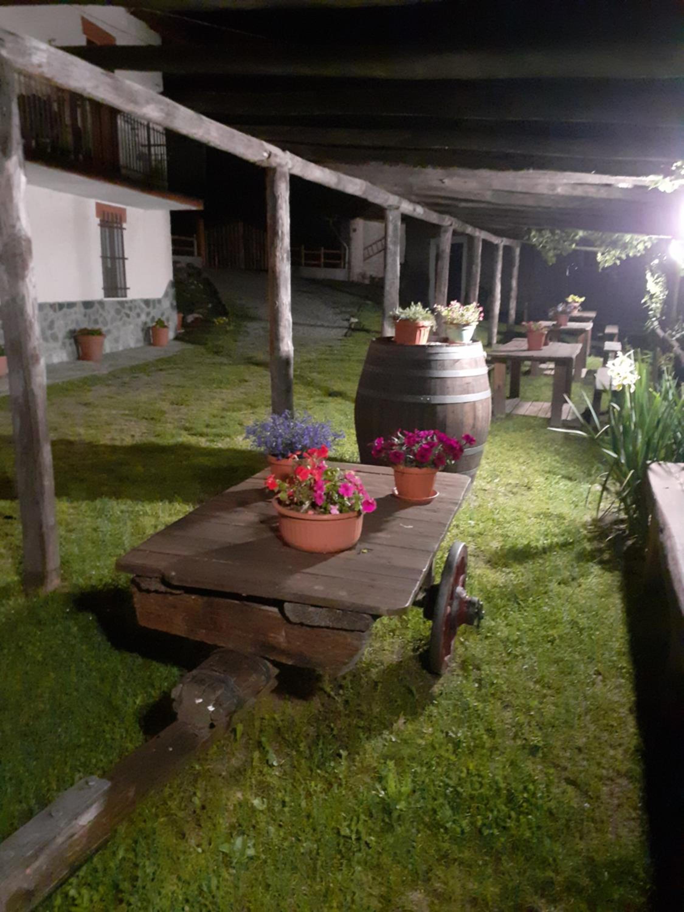 Photo 52