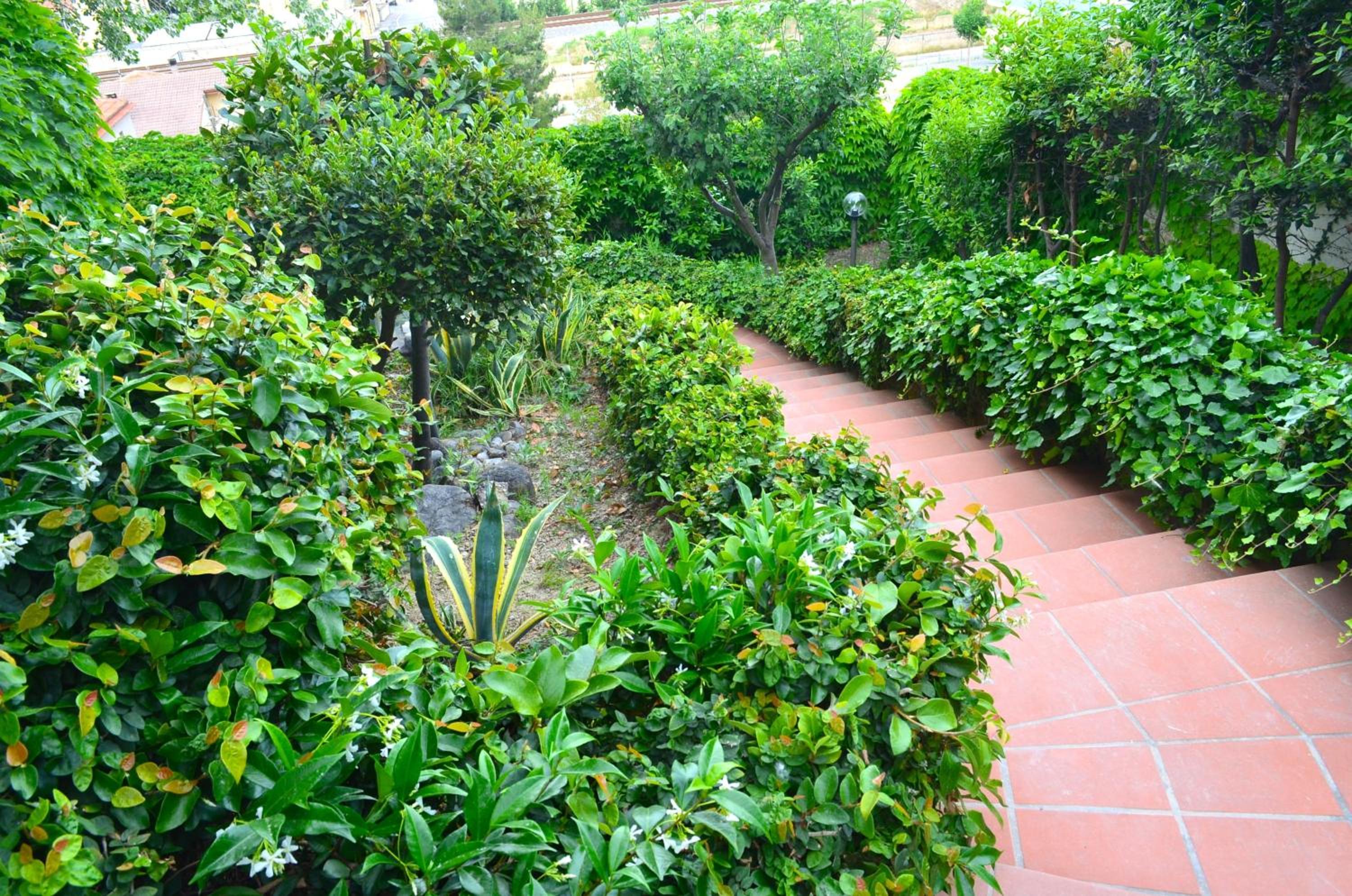 The Incantation Guest House view 5