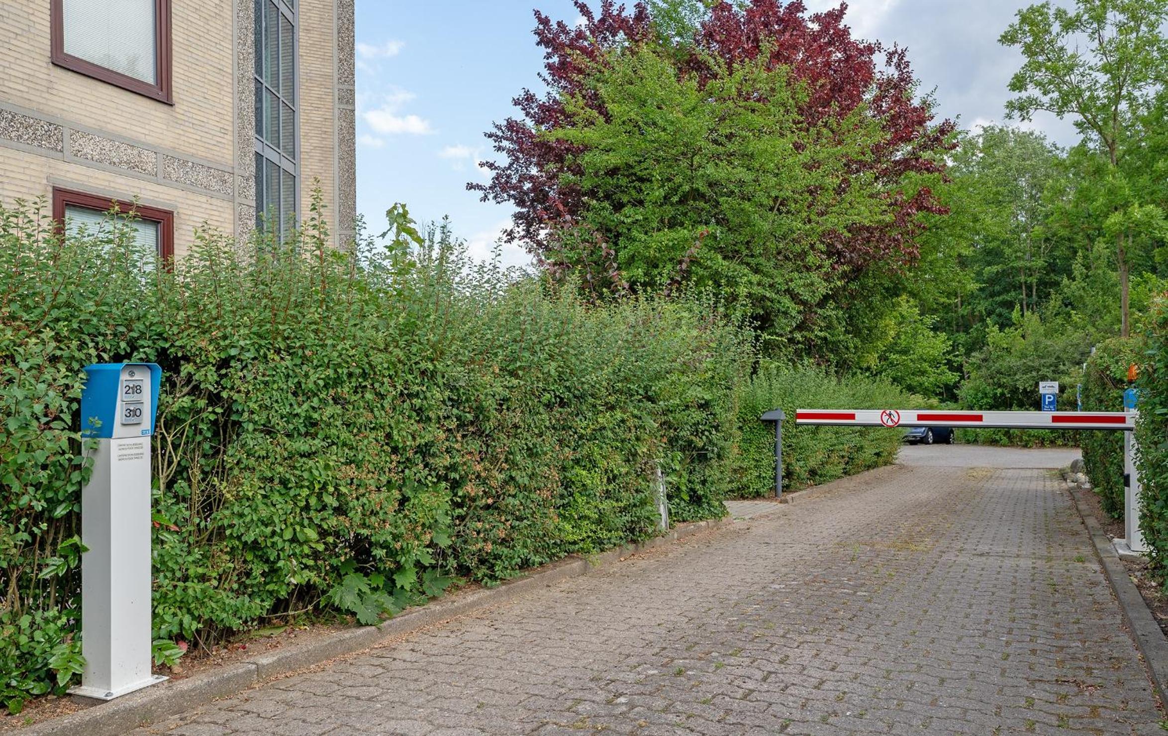 Photo 25
