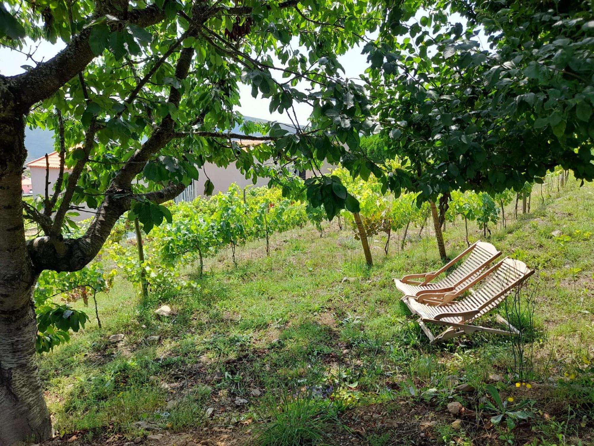 Quinta Manhas Douro