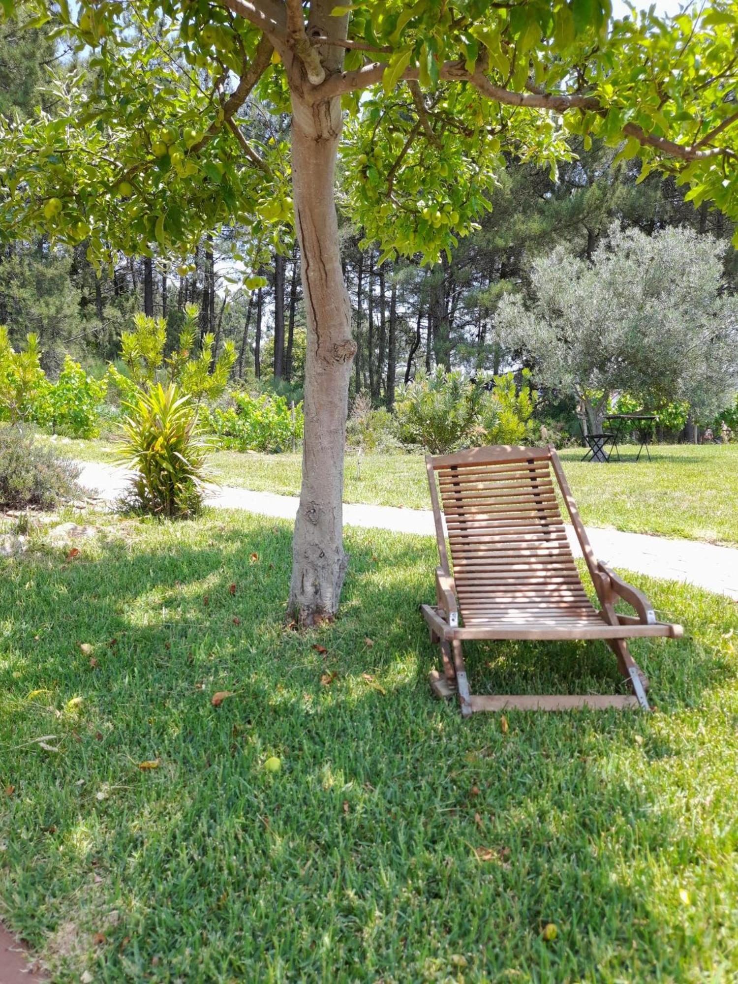 Quinta Manhas Douro