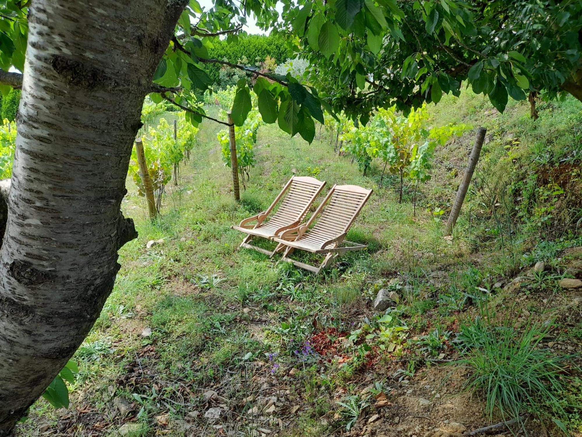 Quinta Manhas Douro