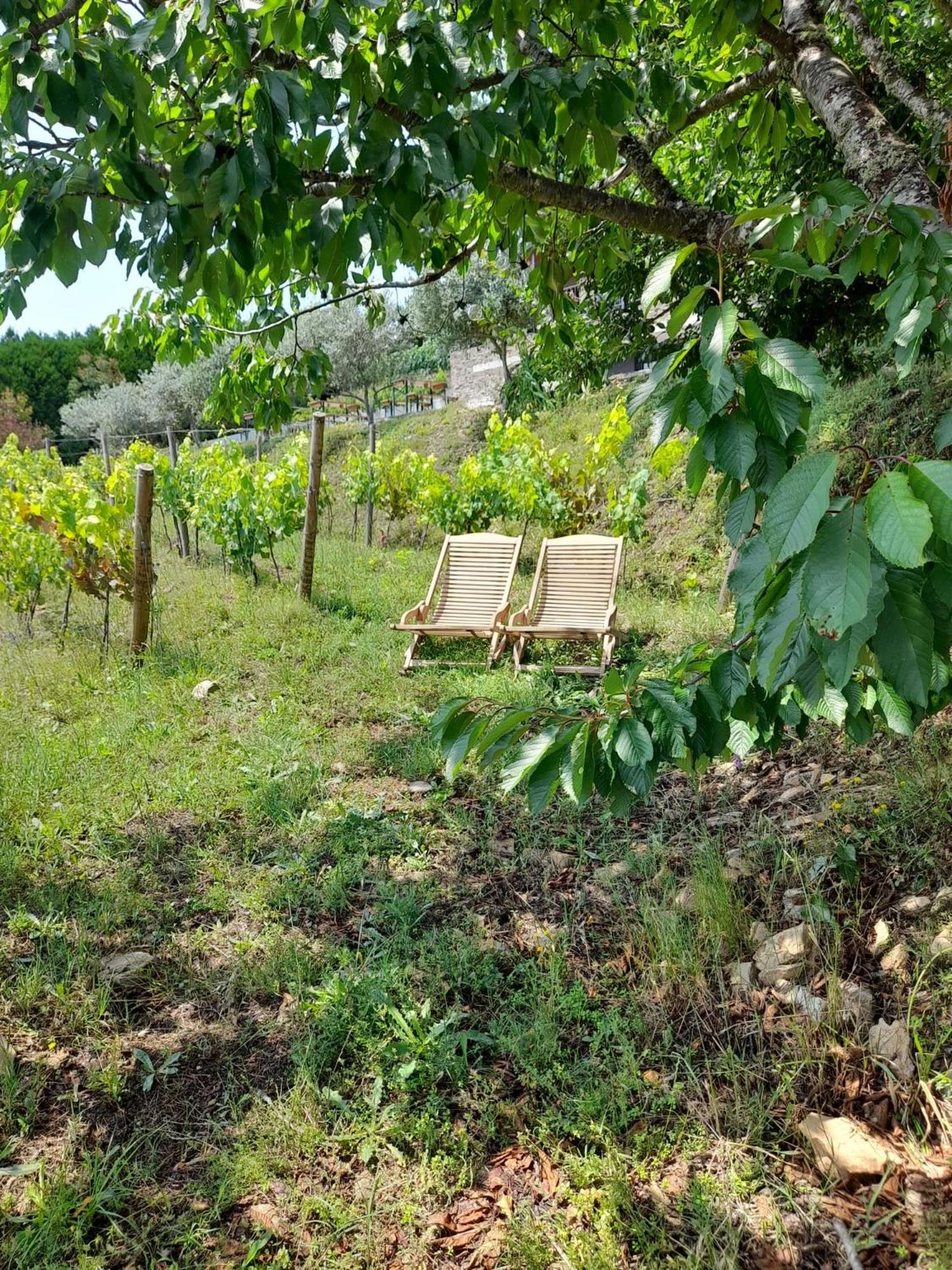 Quinta Manhas Douro