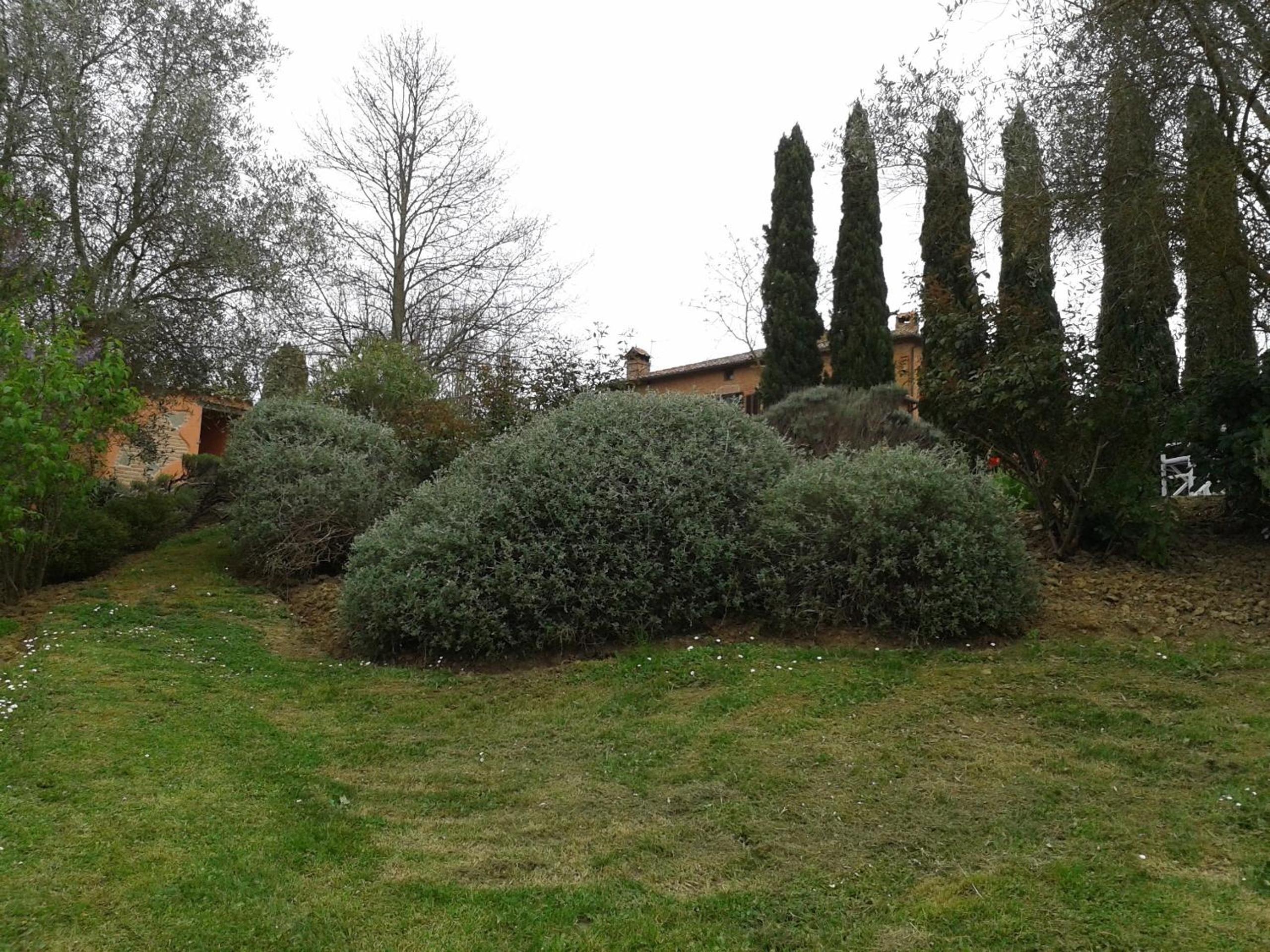 Photo 51