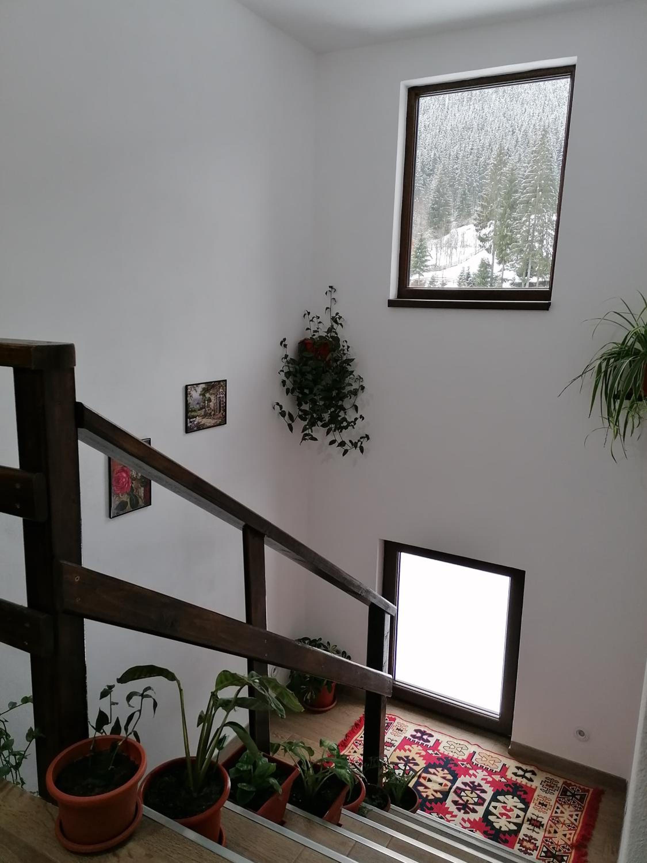 Cabana Inima Munților