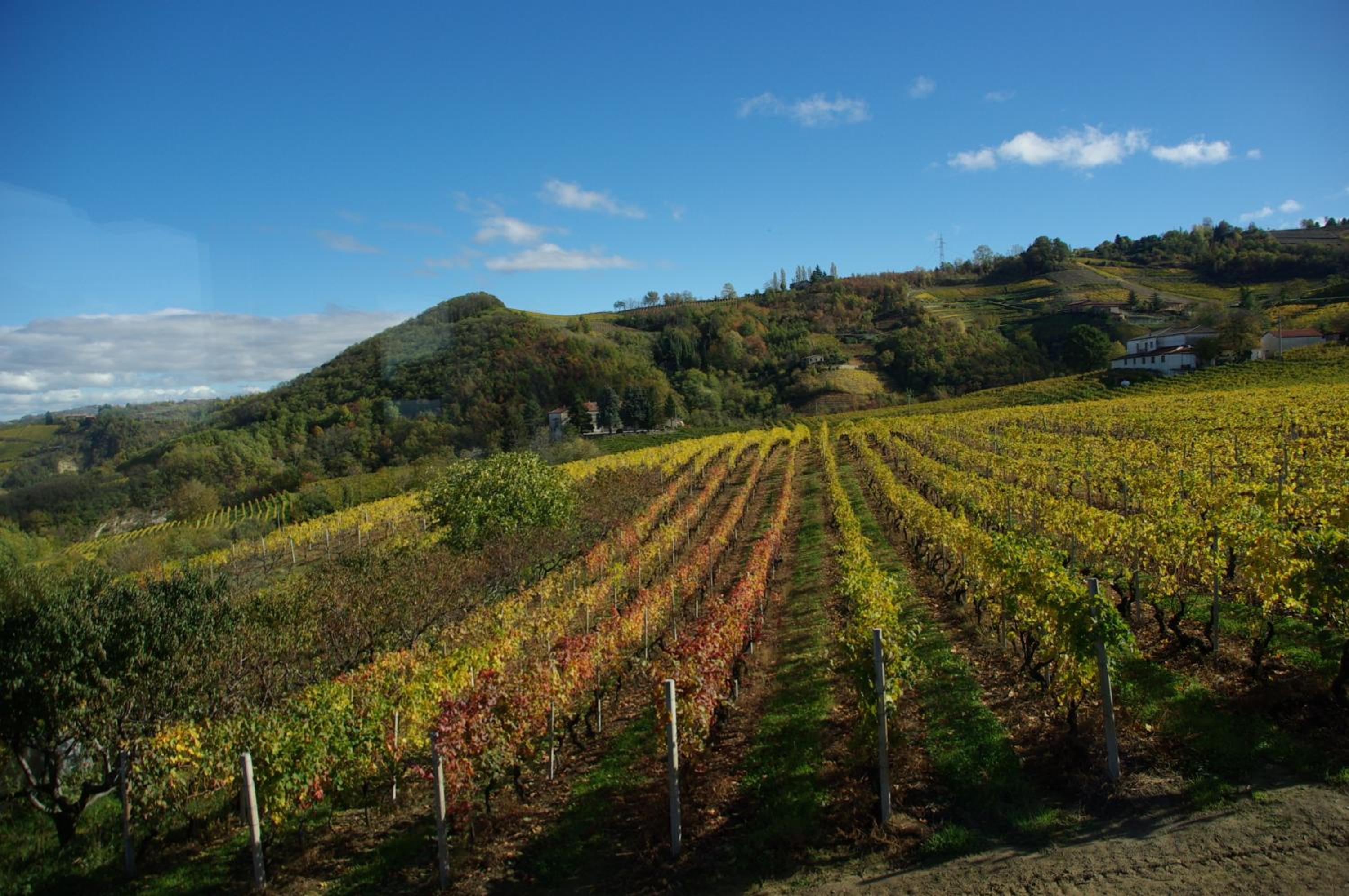Agriturismo Rupestr