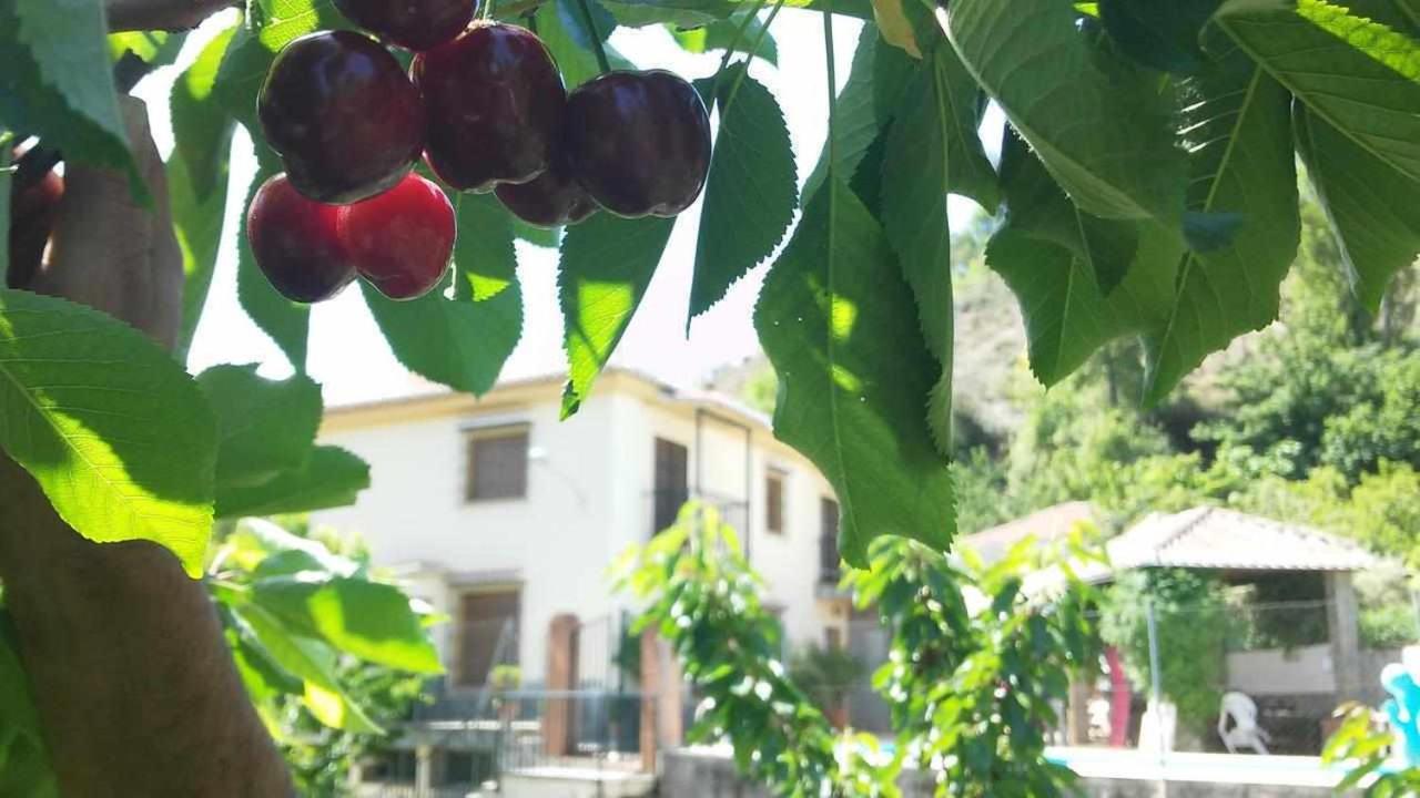 Casa Rural Las Huertas de Roque.