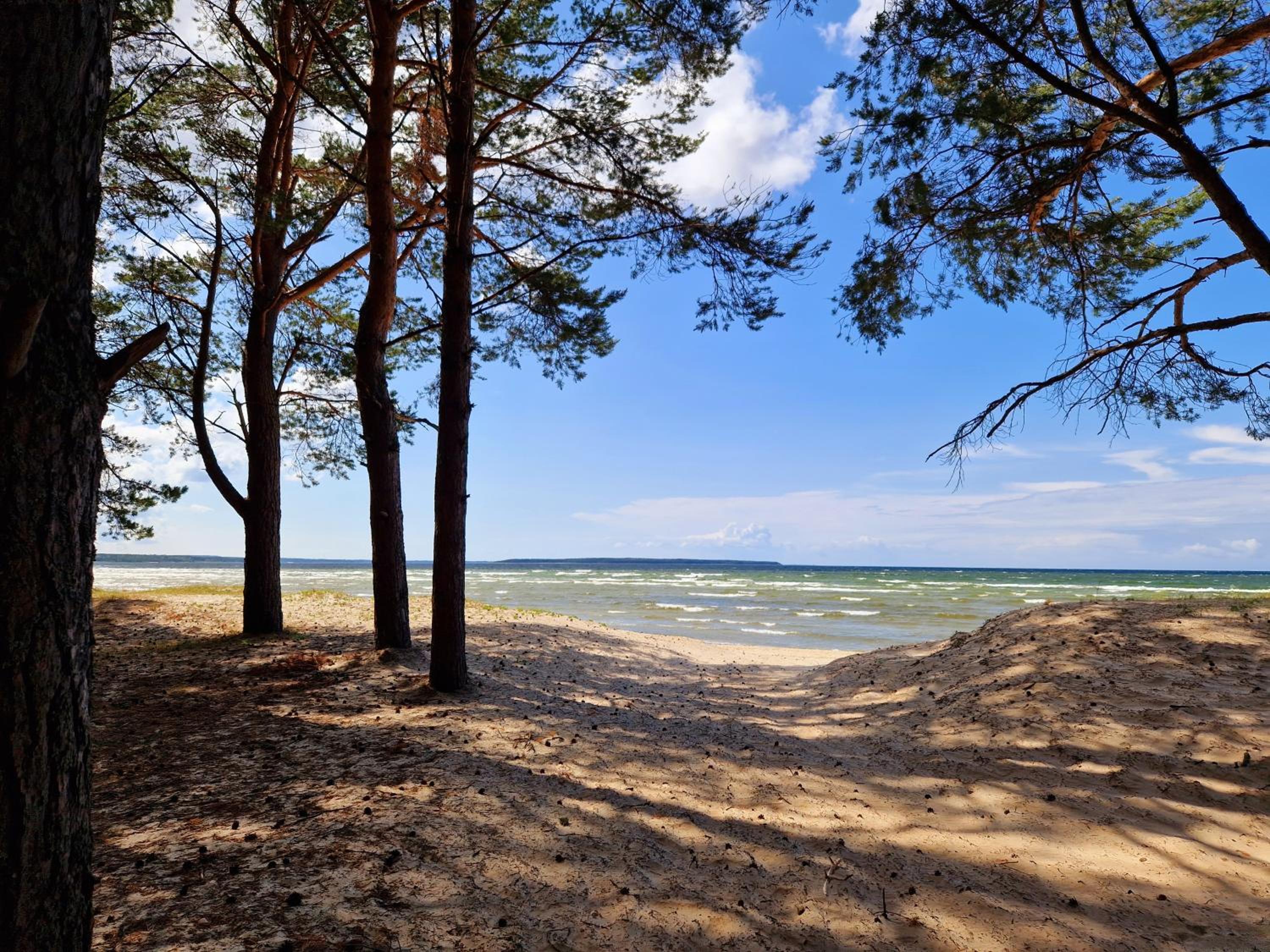 Elulille maja mere läheduses Lahemaa rüpes