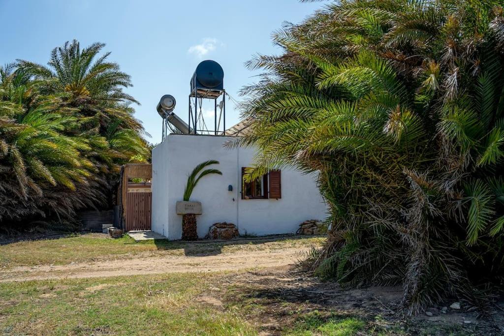 Finikas House