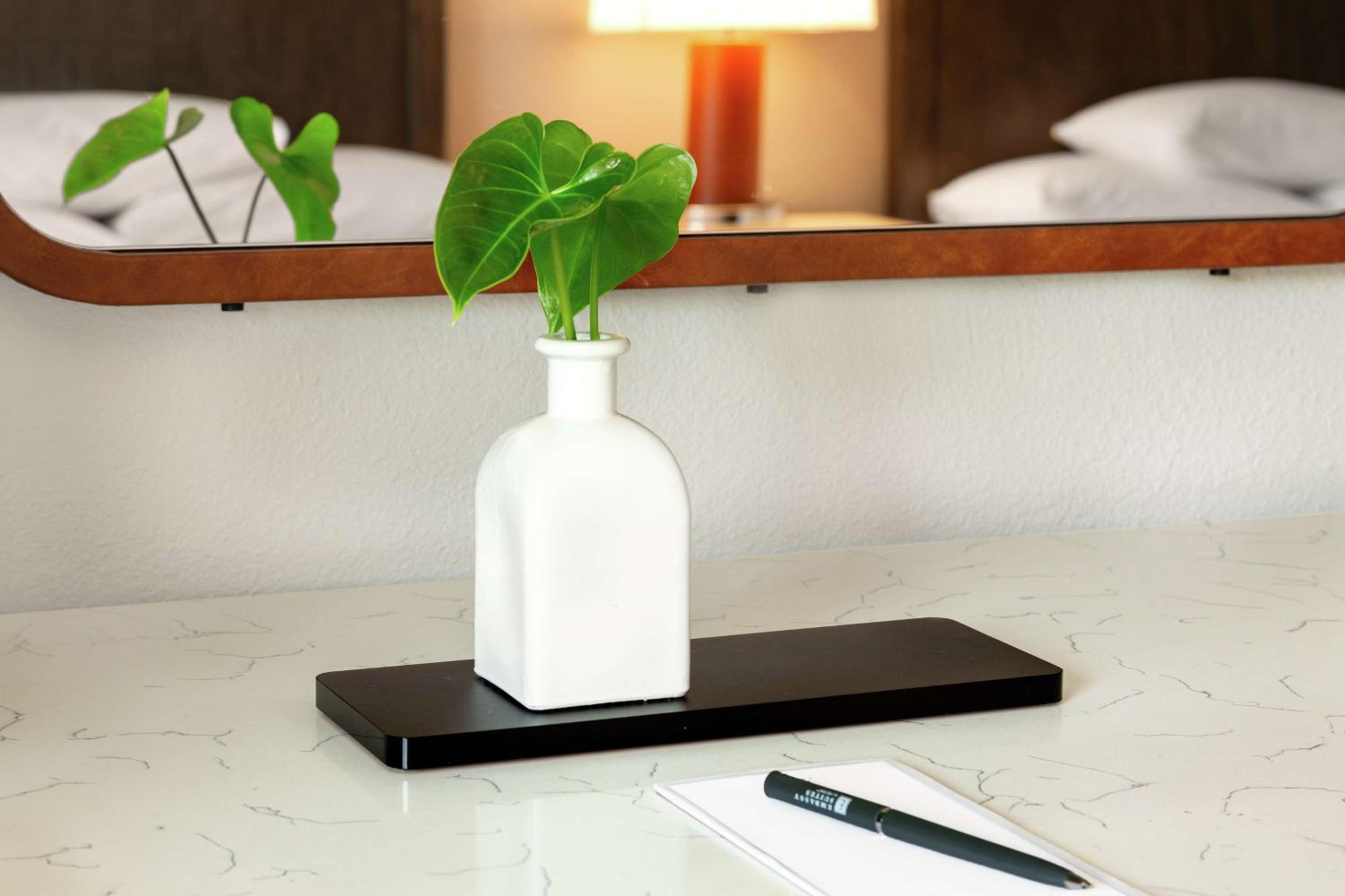 Embassy Suites by Hilton Milpitas Silicon Valley - Property Image 11