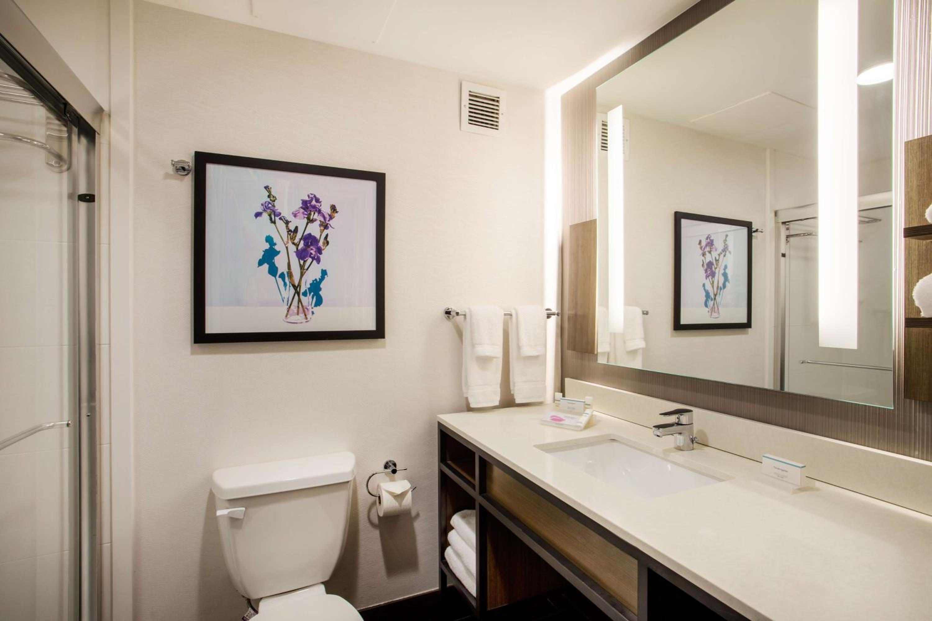 Smyrna Vacations - Hilton Garden Inn Nashville Smyrna - Property Image 34