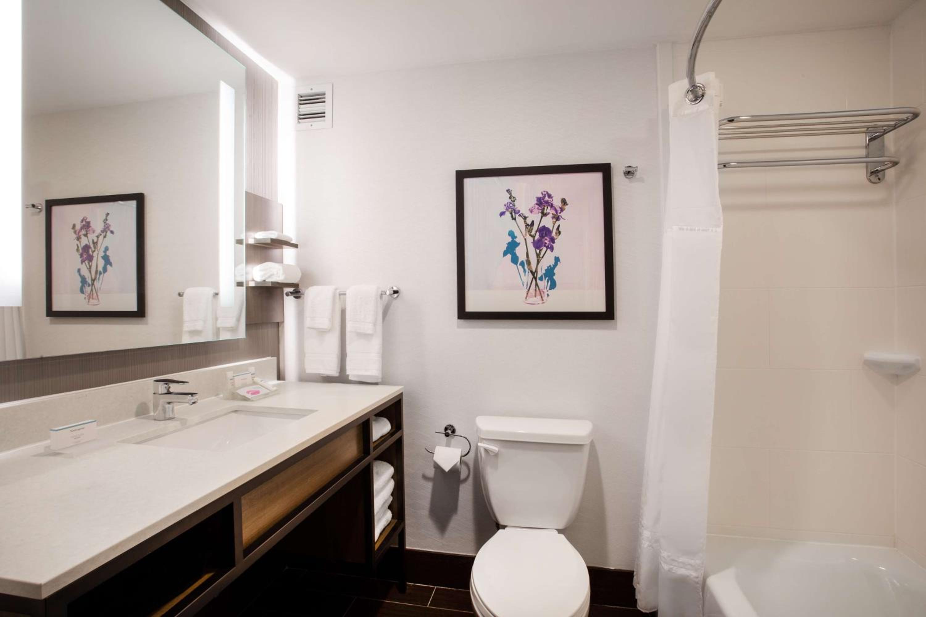 Smyrna Vacations - Hilton Garden Inn Nashville Smyrna - Property Image 2