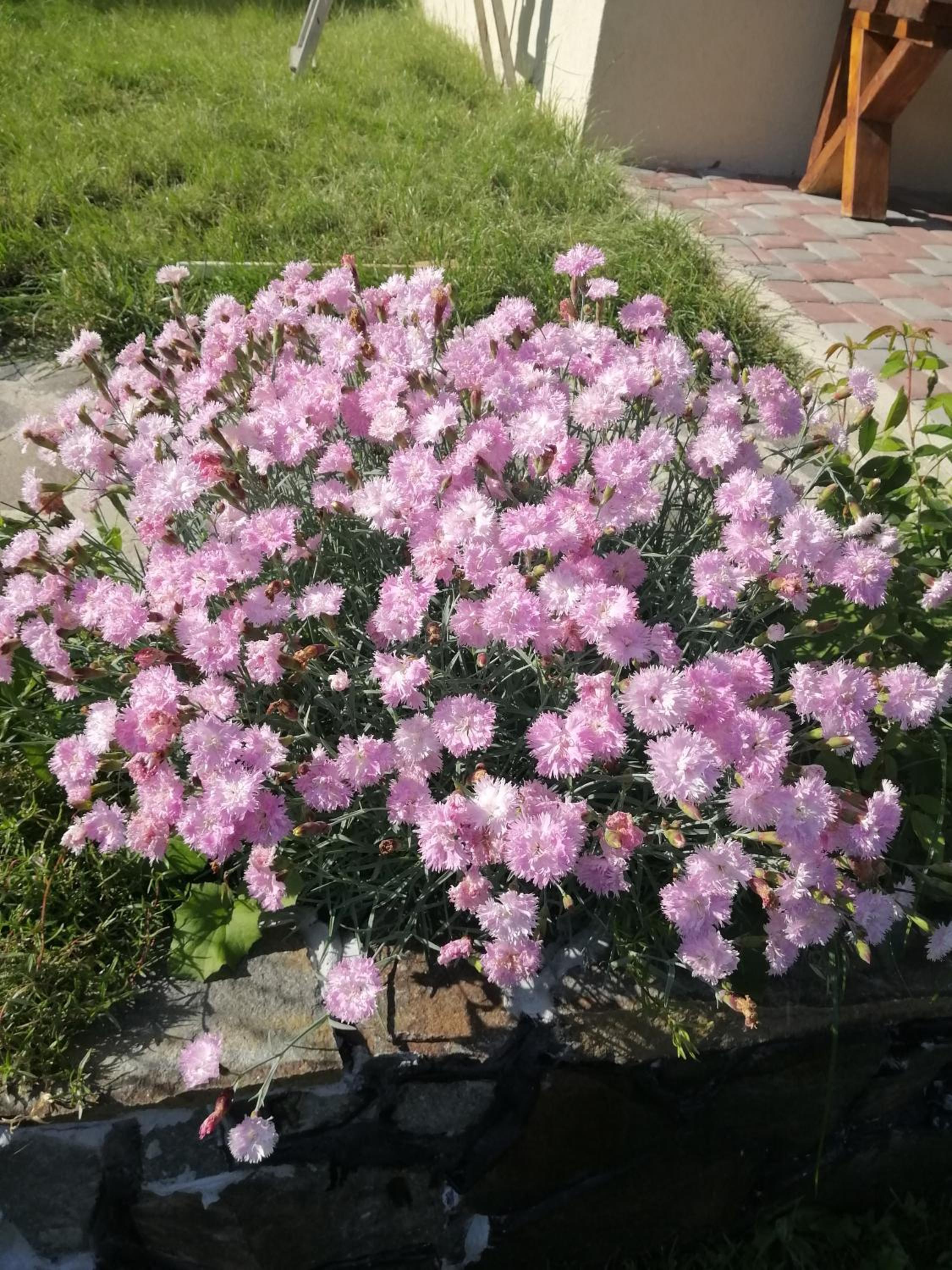 Photo 39