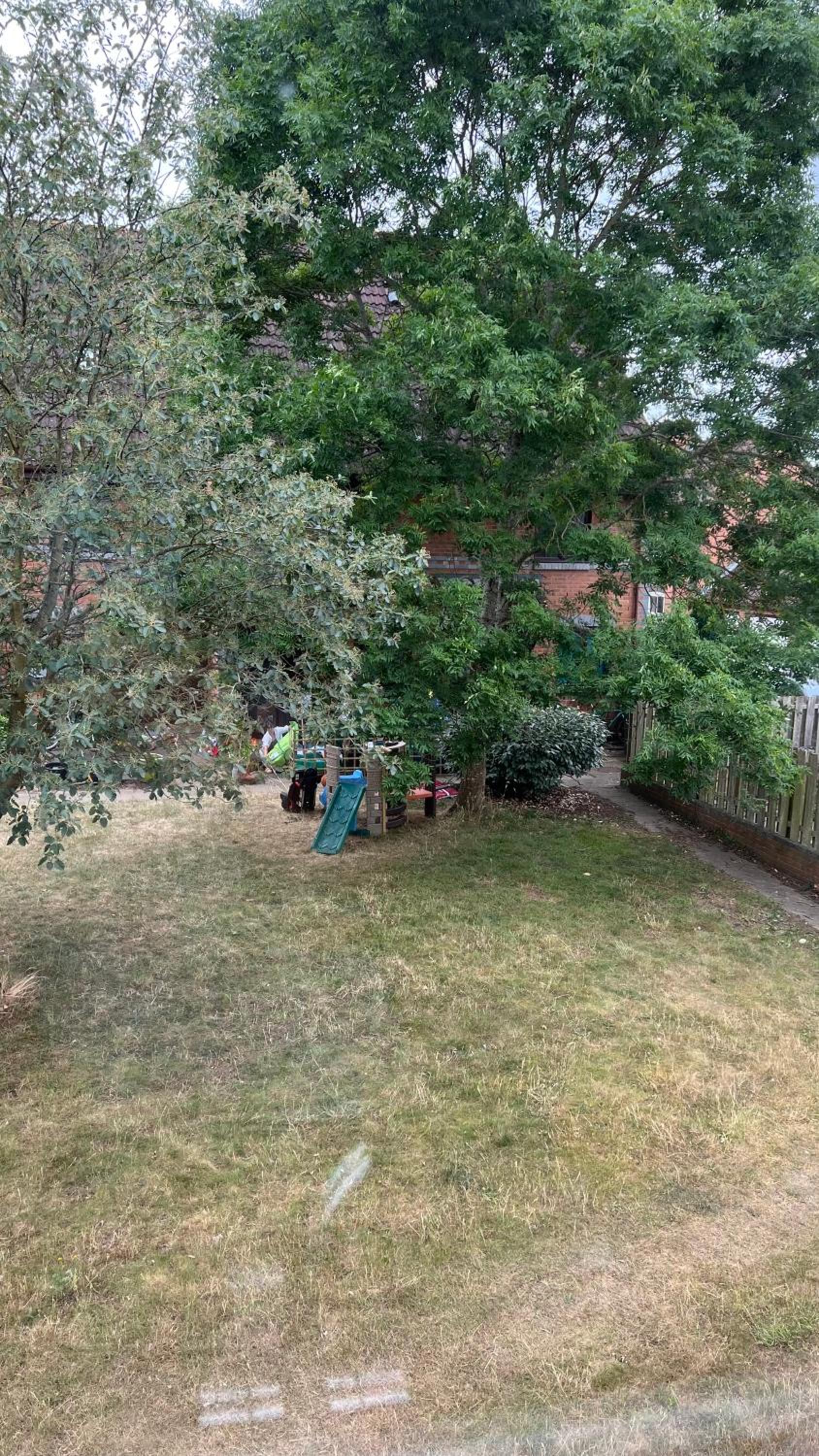 Photo 51