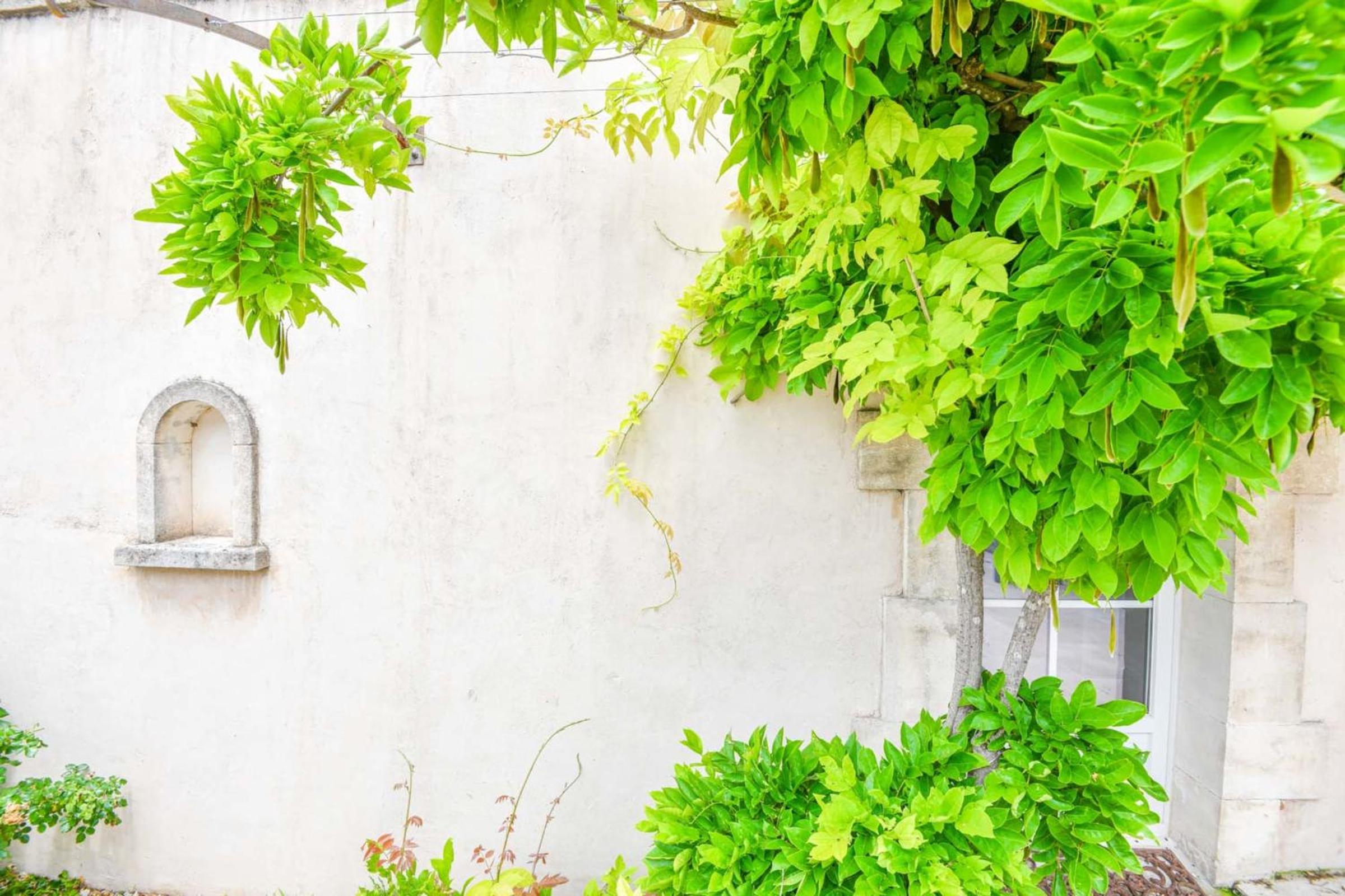 Mas des Chênes Verts 5 ch avec piscine et clim