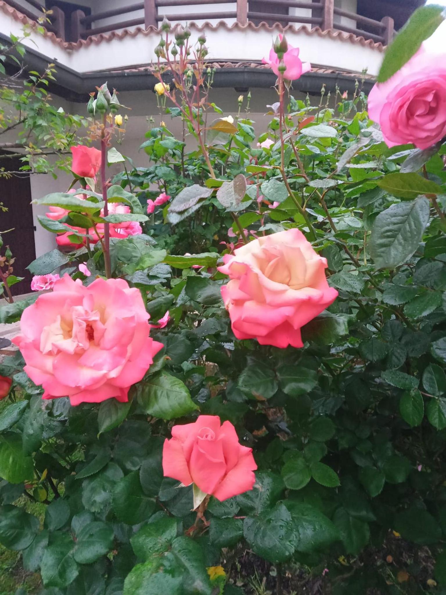 Photo 48