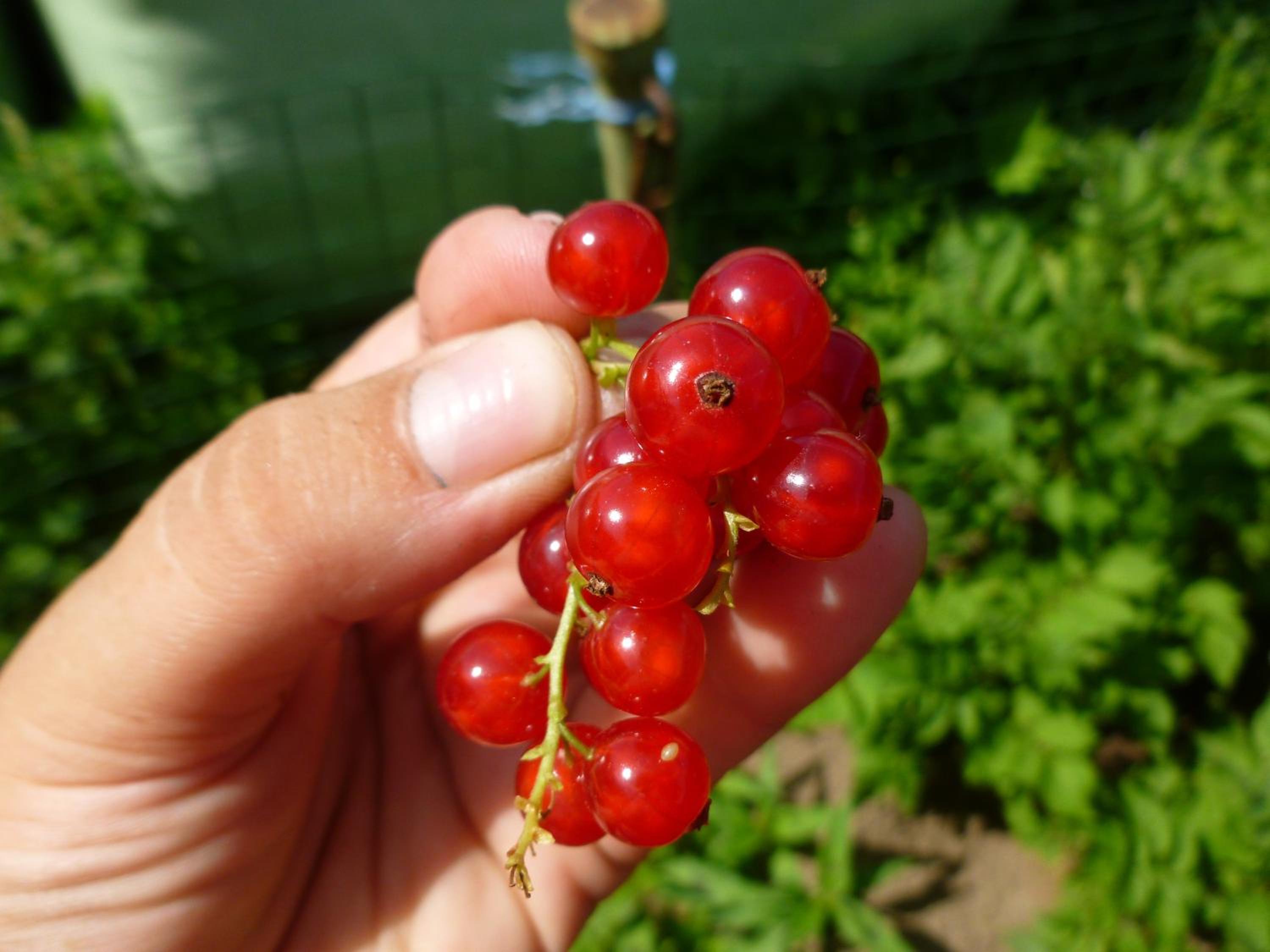 Photo 44