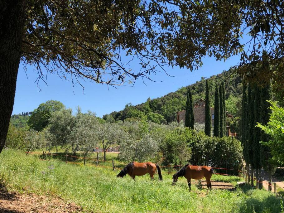 Agriturismo TerraMadre