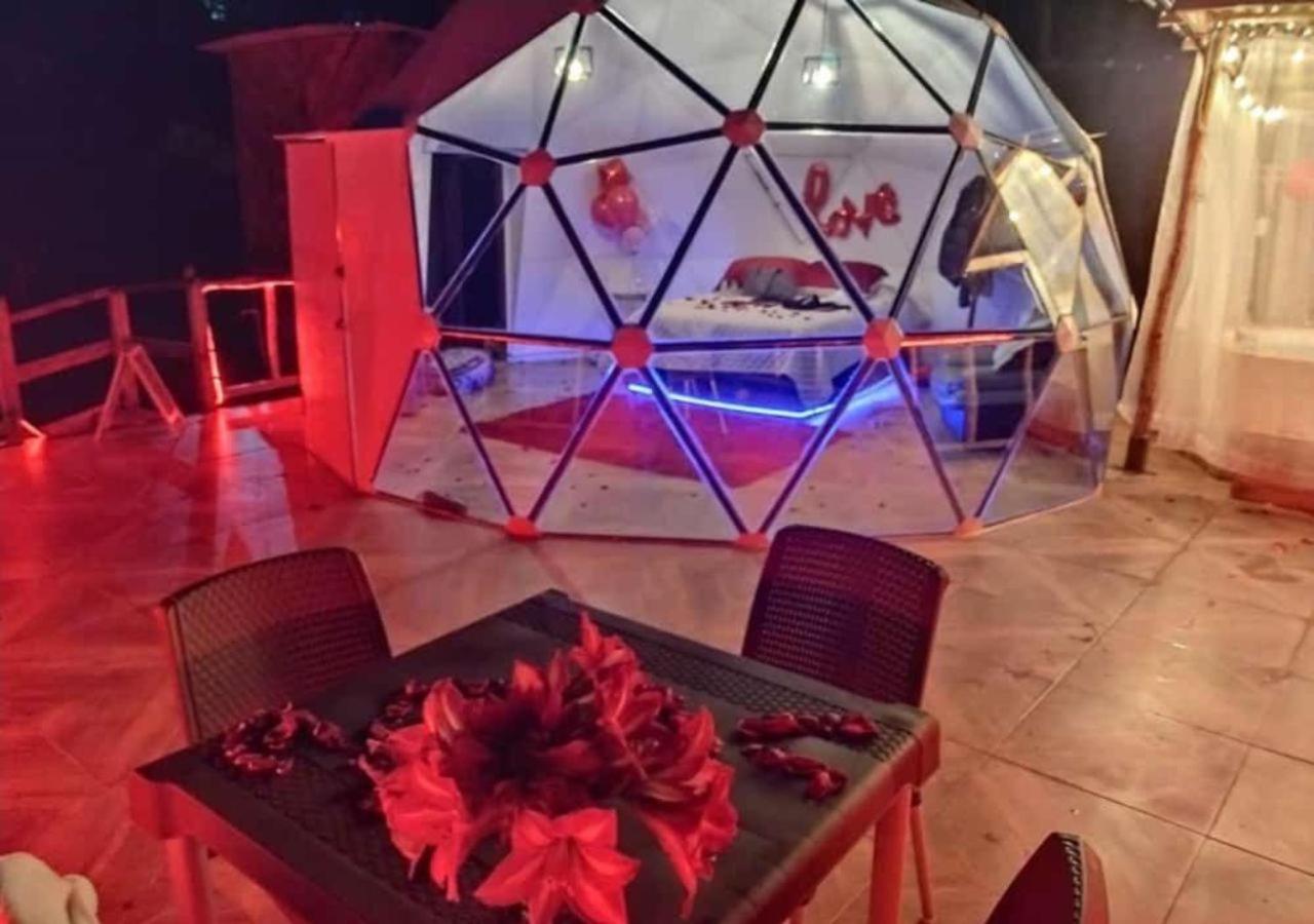 Wallaby Glamping - Domo Deluxe
