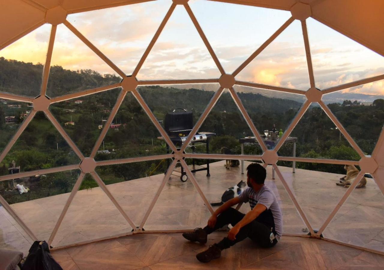 Wallaby Glamping - Domo Deluxe