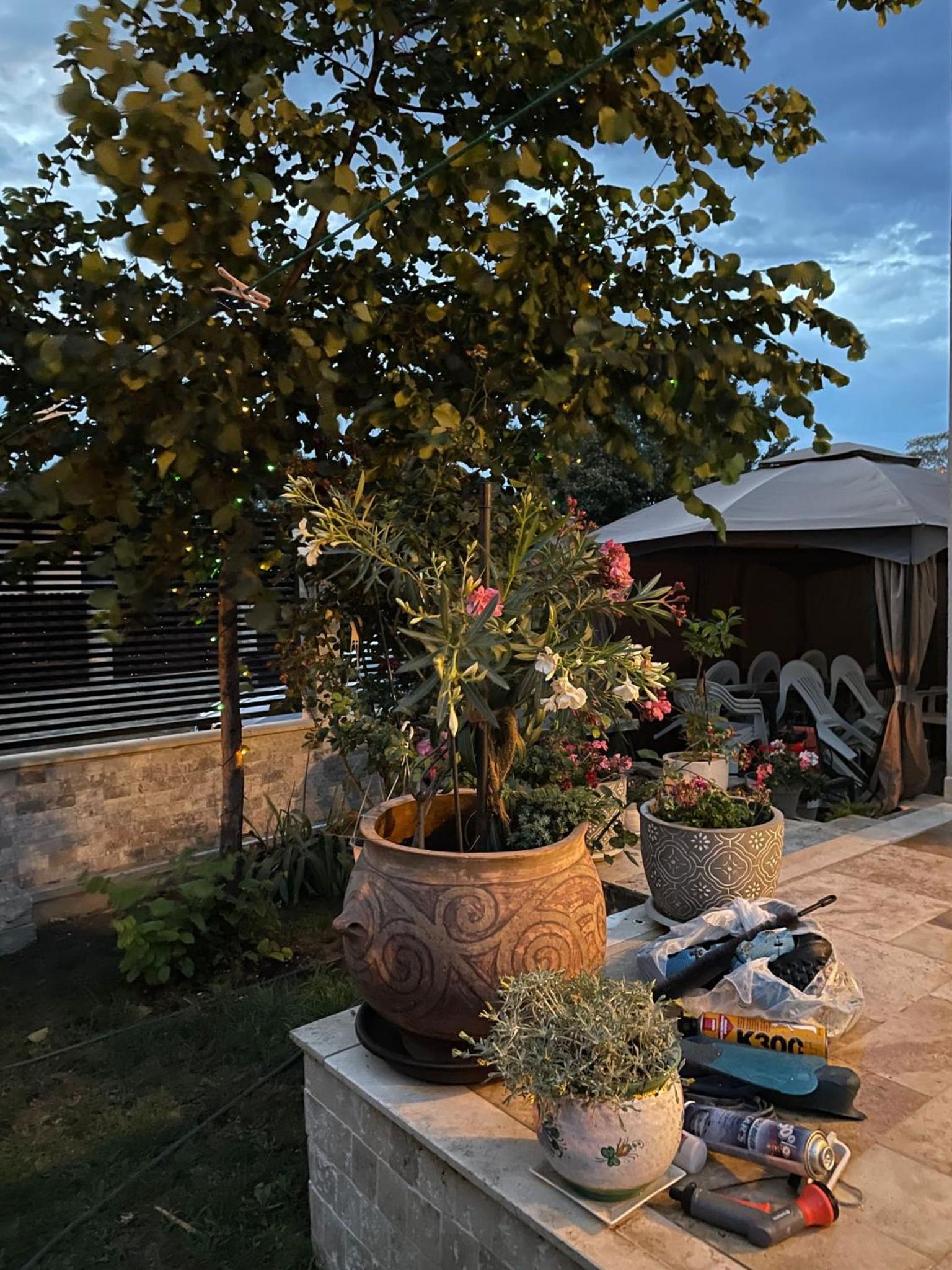 Photo 21