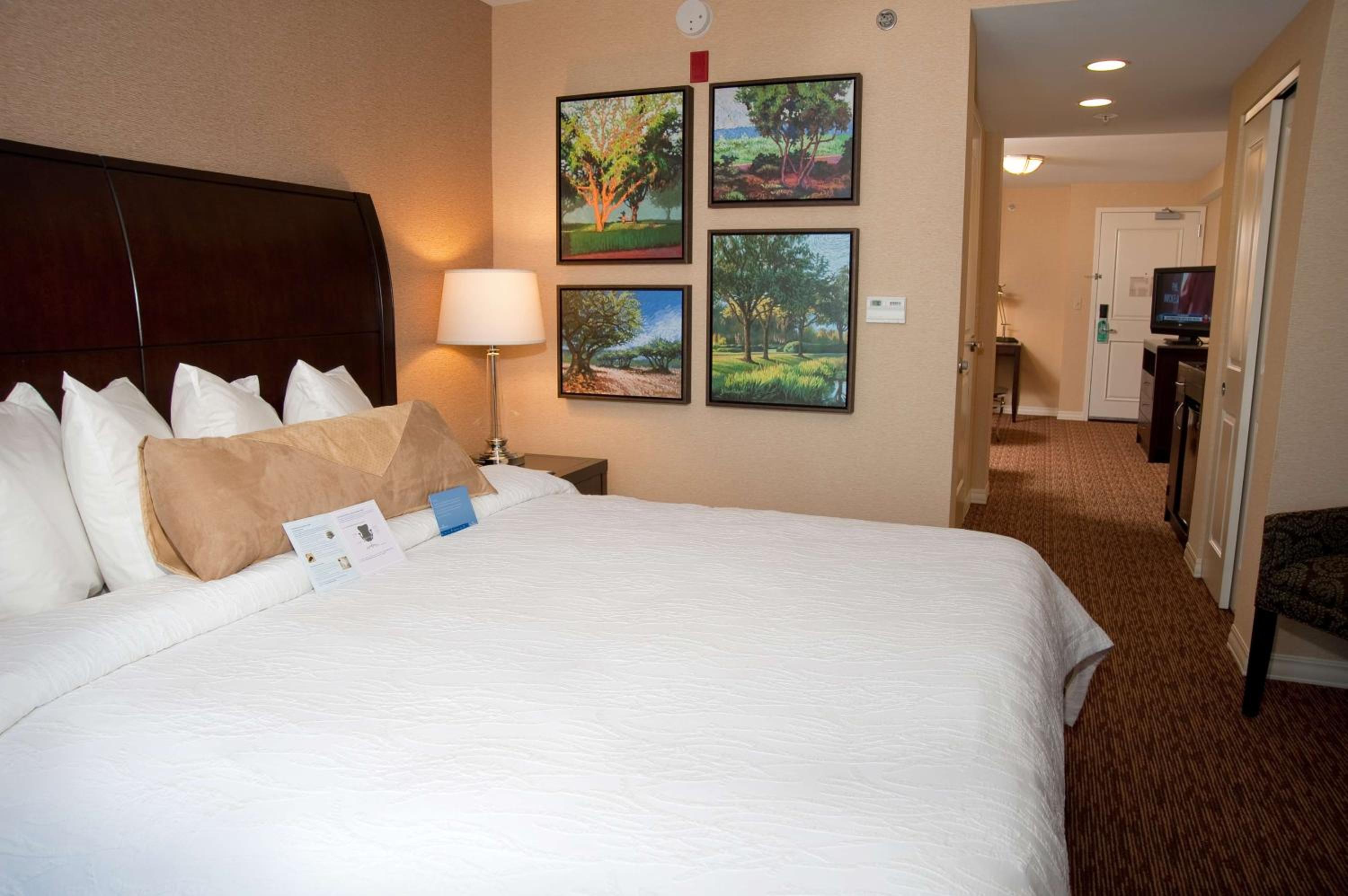 Hilton Garden Inn St. Louis Airport - Property Image 18