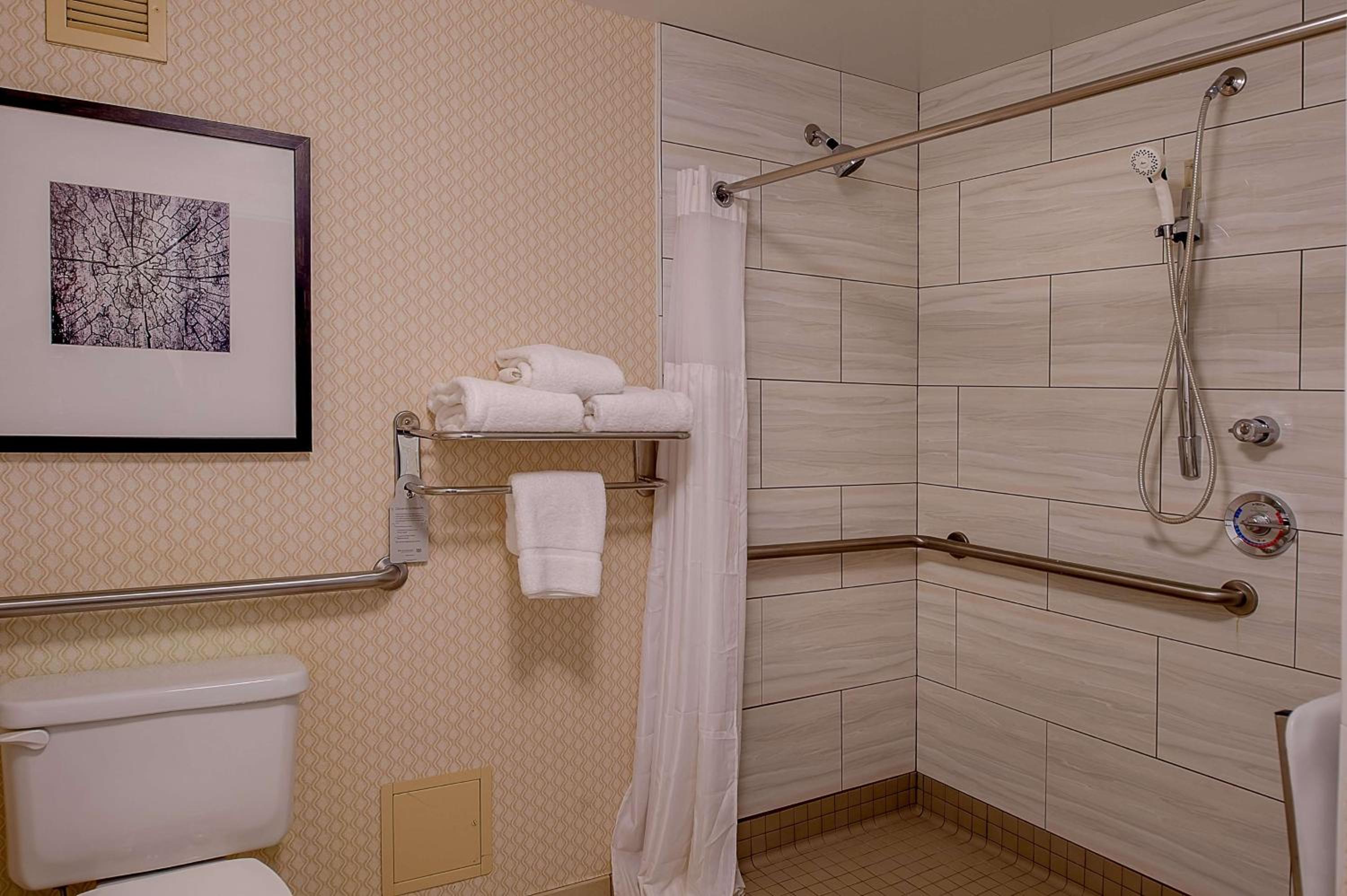 Hilton Garden Inn St. Louis Airport - Property Image 29