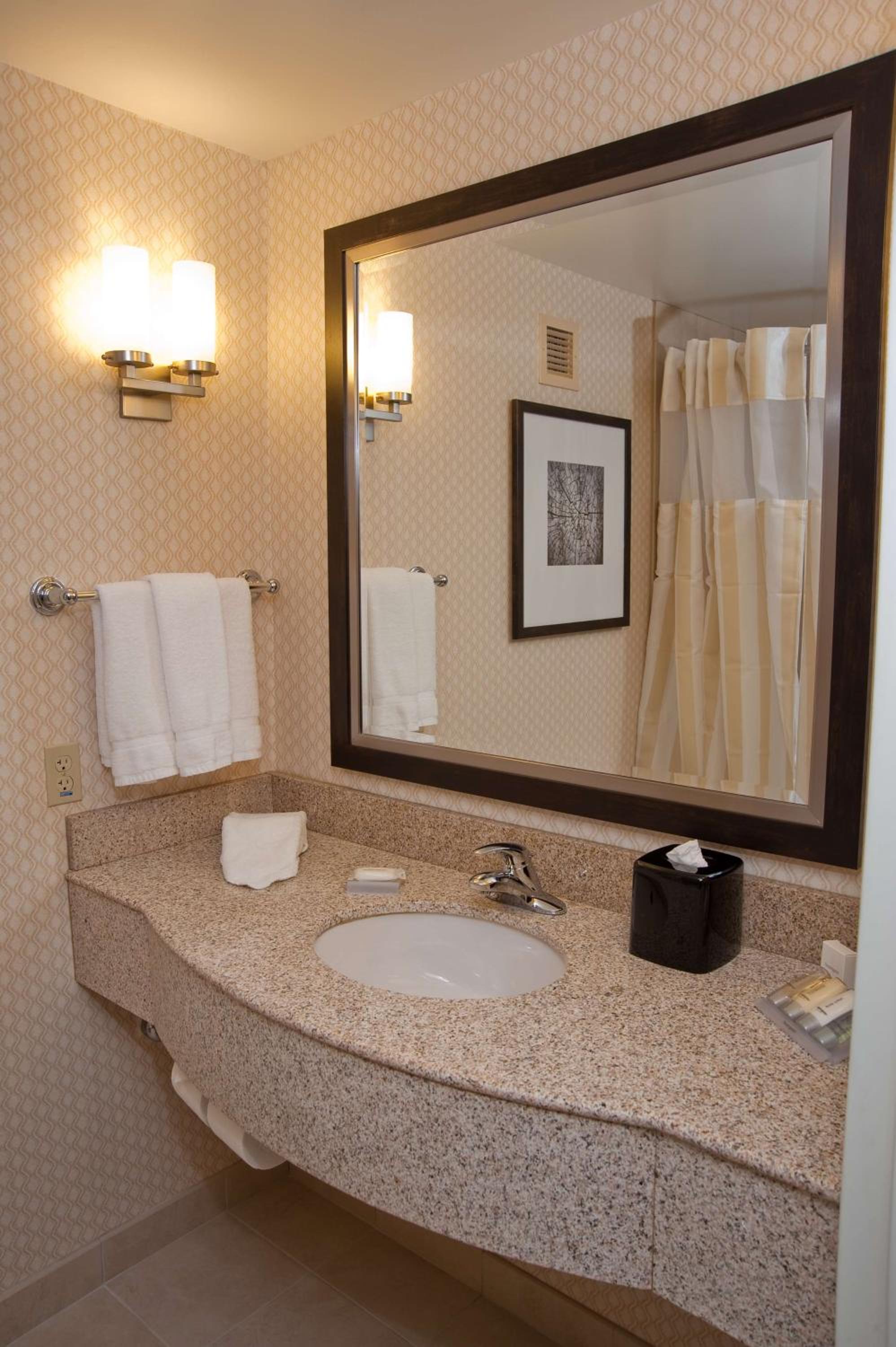Hilton Garden Inn St. Louis Airport - Property Image 21