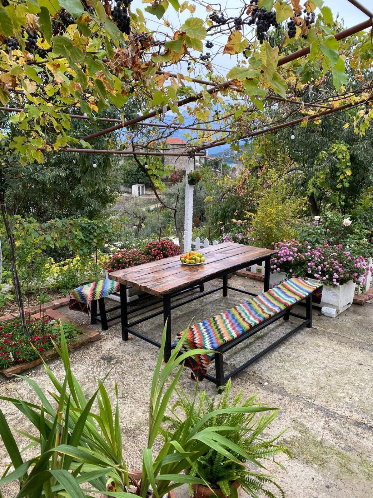 Guest House Bashaj Village