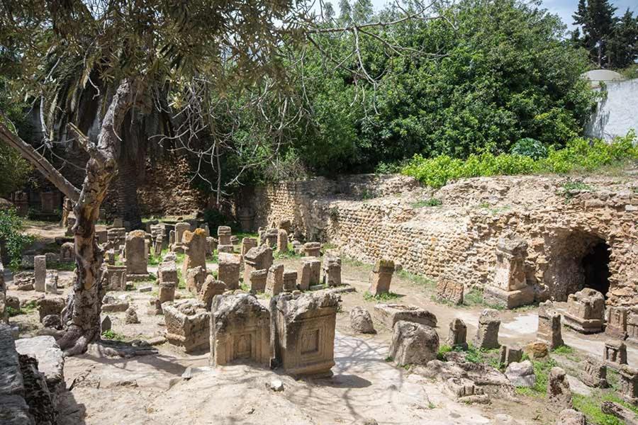 Dar Mayya, photo 24