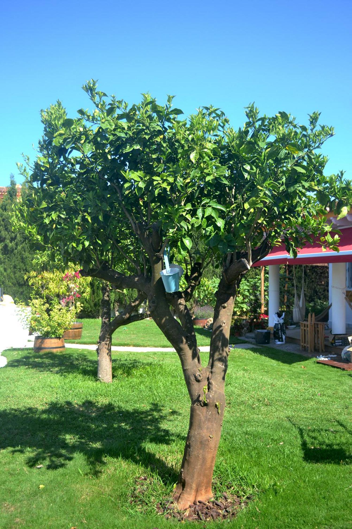 Chalets en Sancti Petri