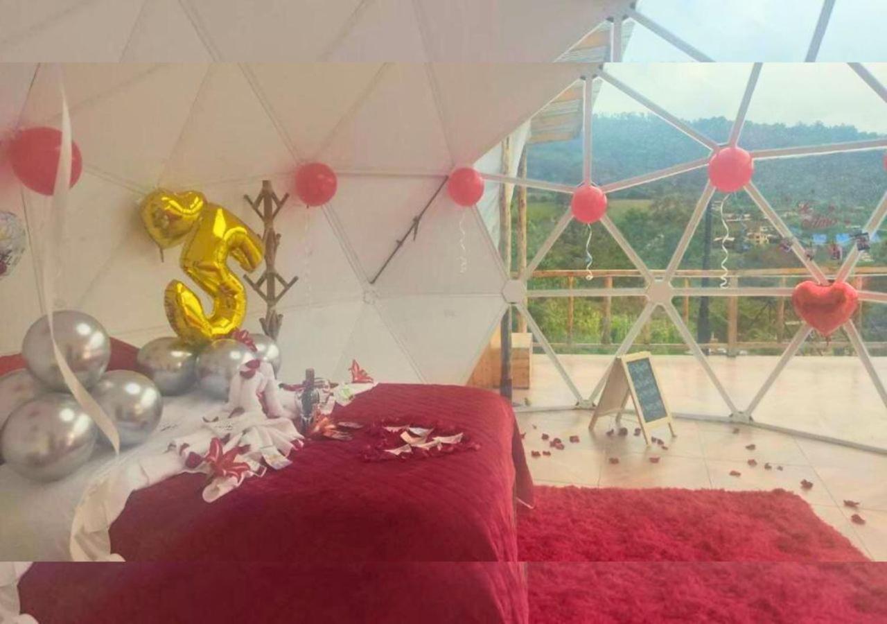 Wallaby Glamping - Domo Deluxe