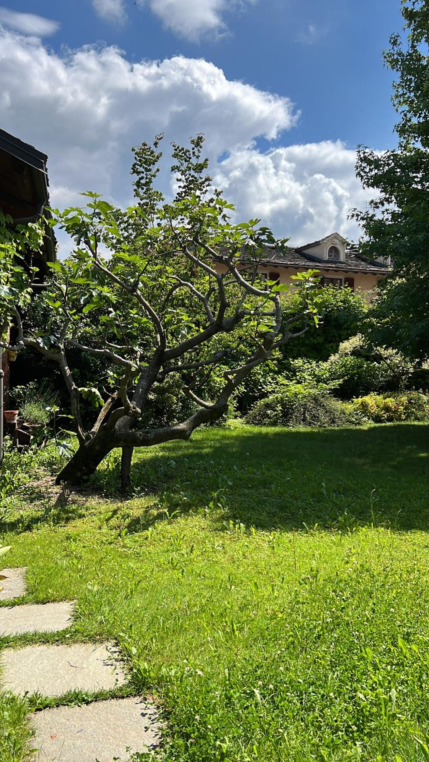 La casa Arancione