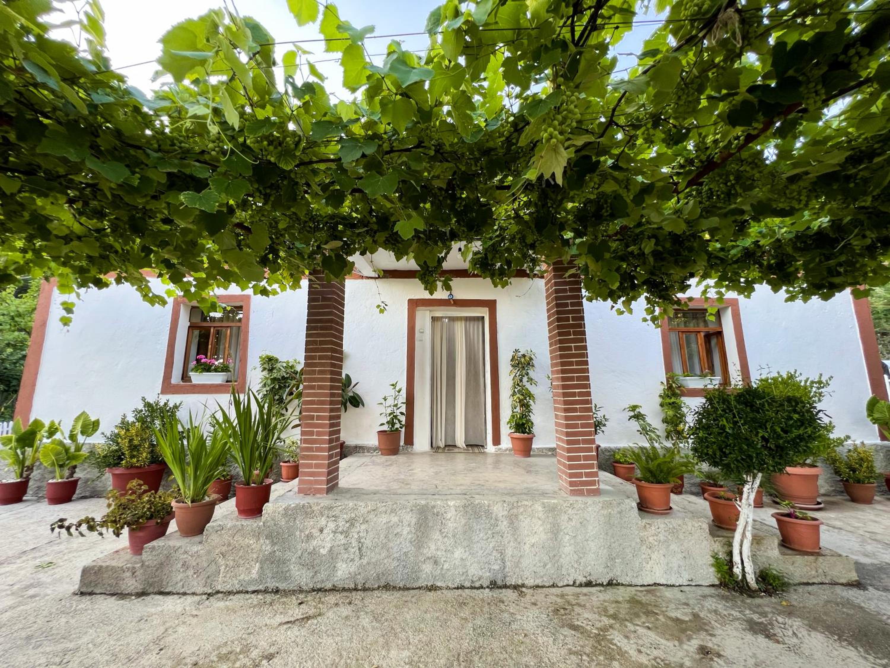 Guest House Bashaj Village