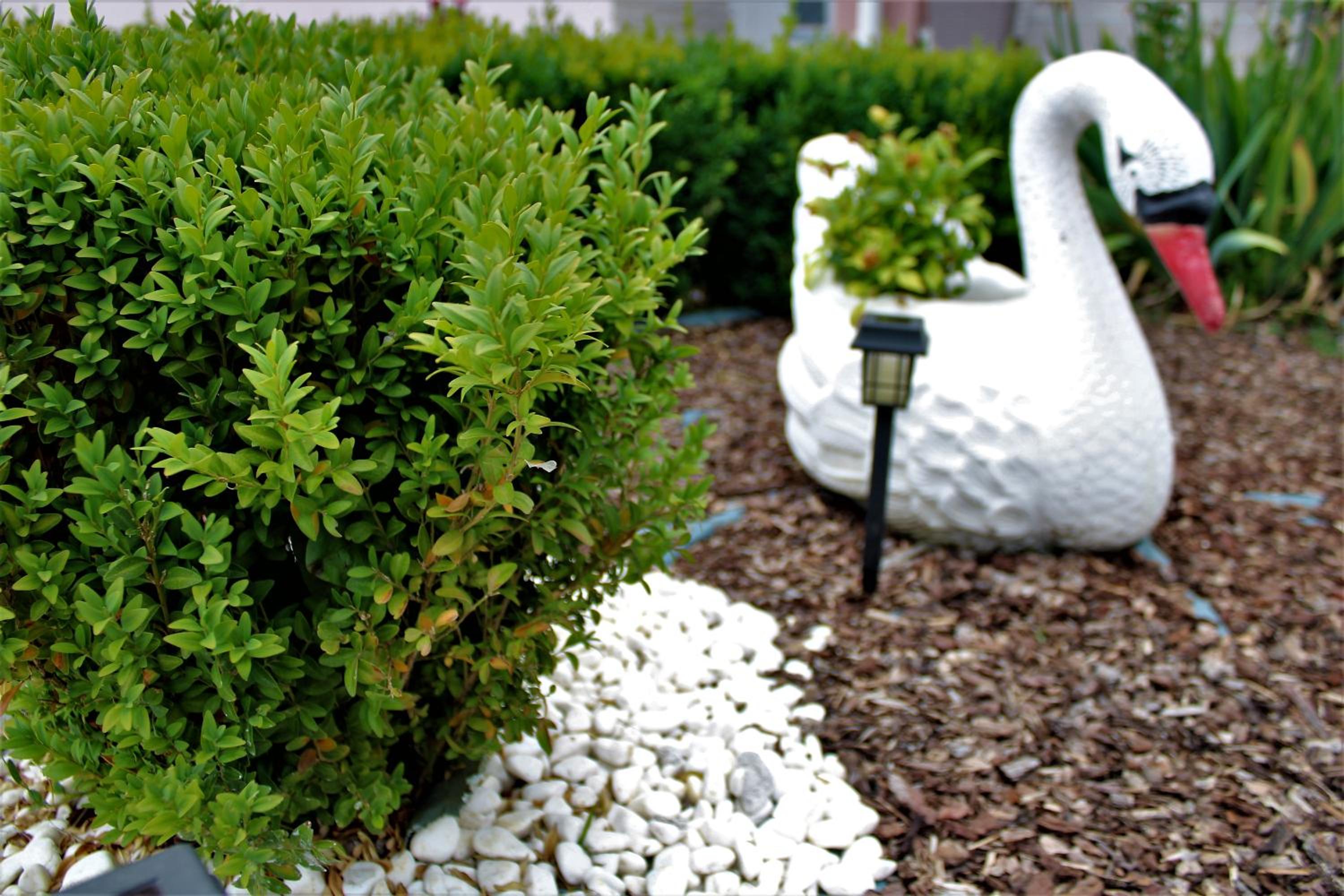 Apartman Swans