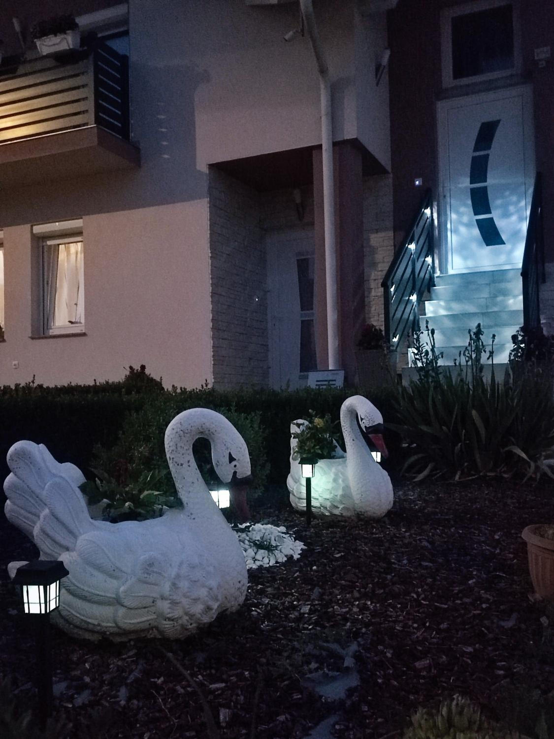 Apartman Swans