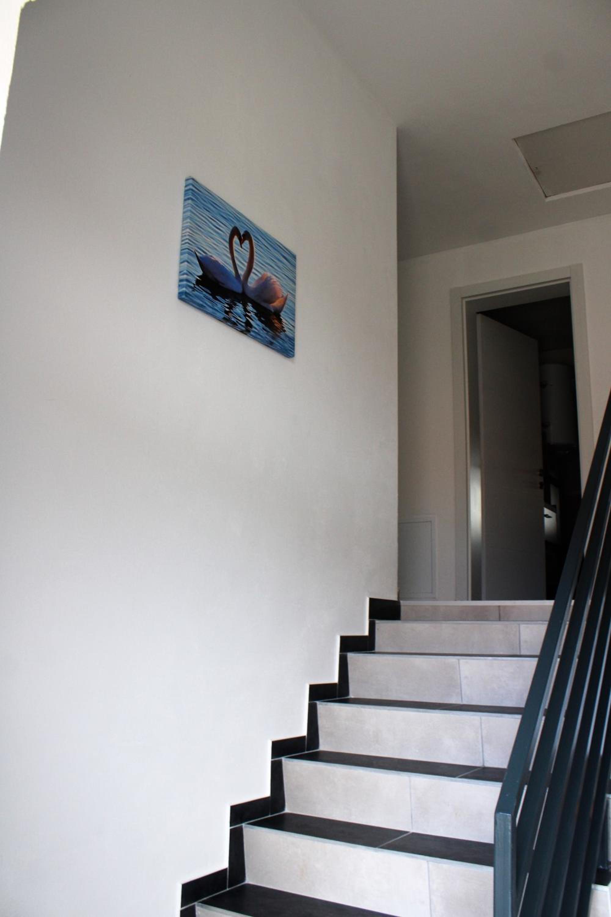 Apartman Swans