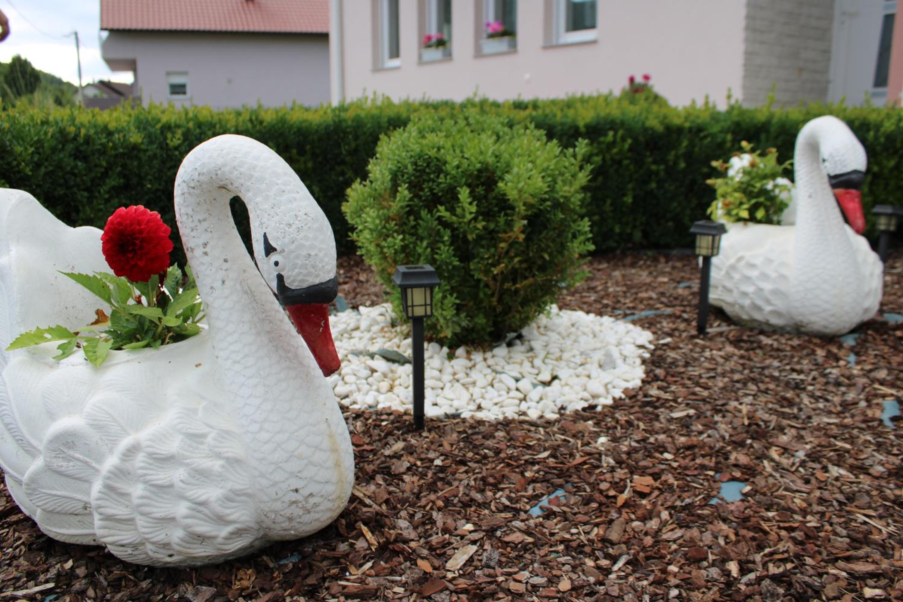 Apartman Swans