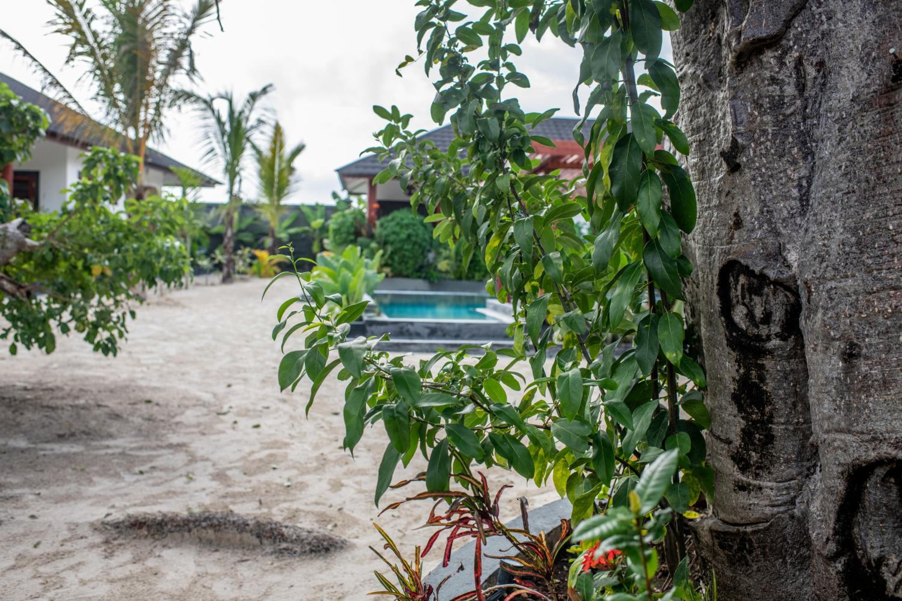 Baobab Bungalows