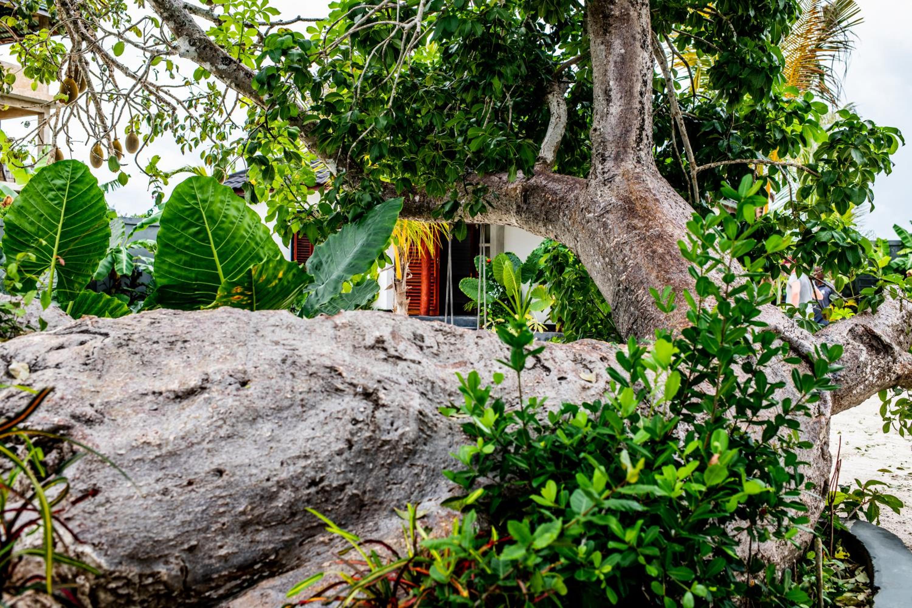 Baobab Bungalows