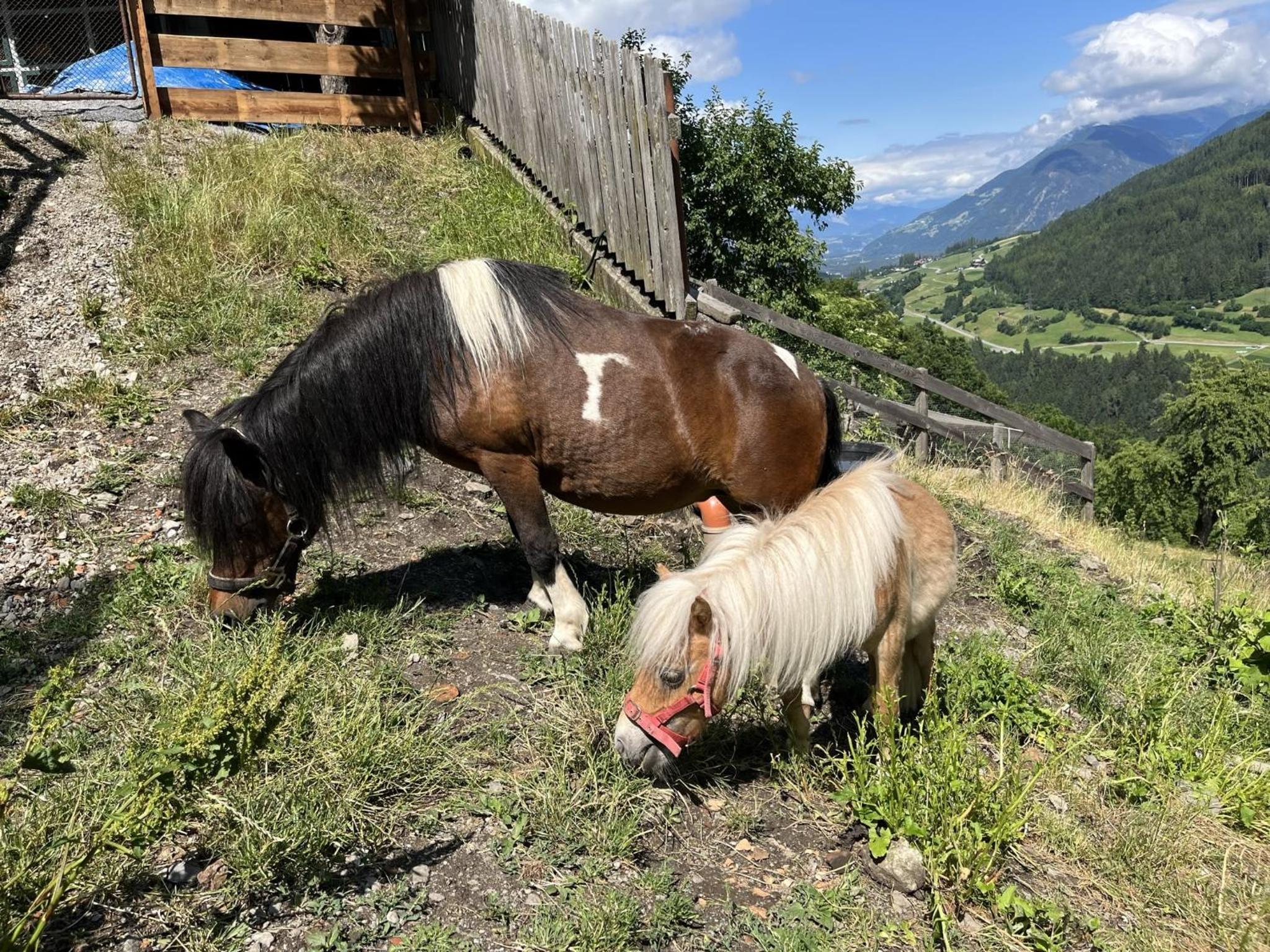 Apart Alpenzeit