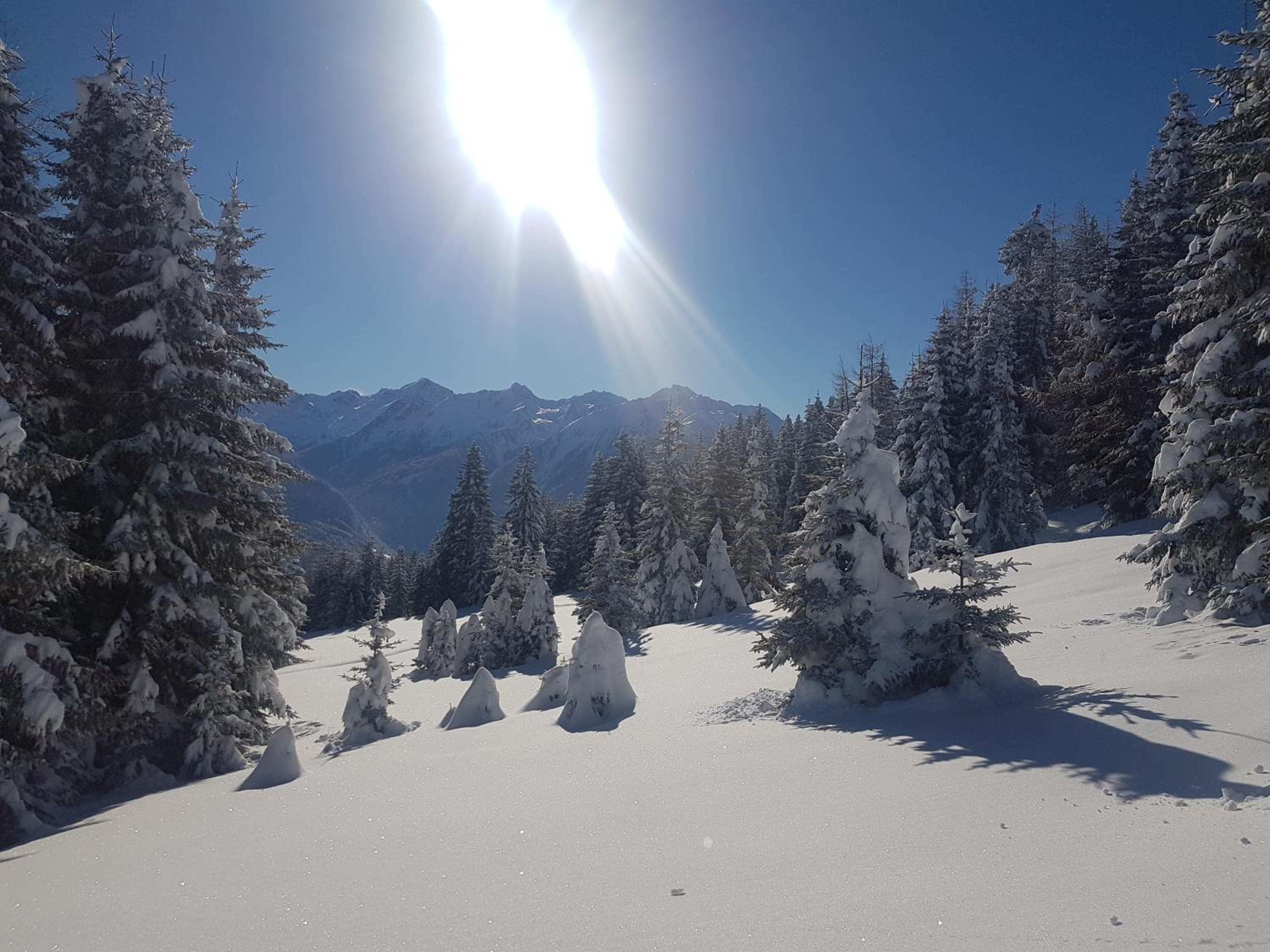 Apart Alpenzeit