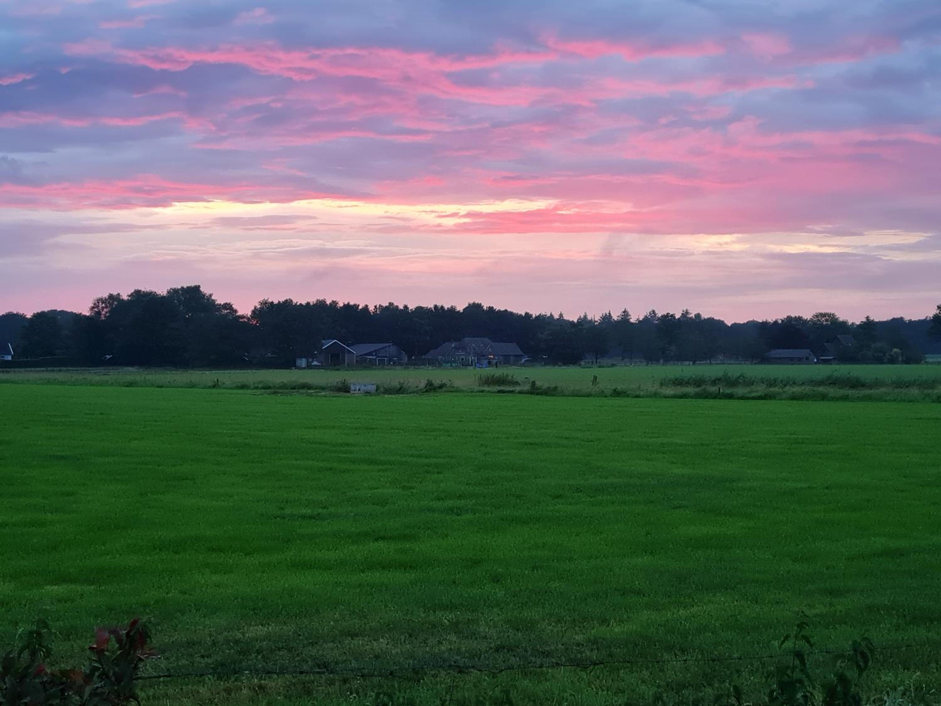 B&B Bos en Wei XL