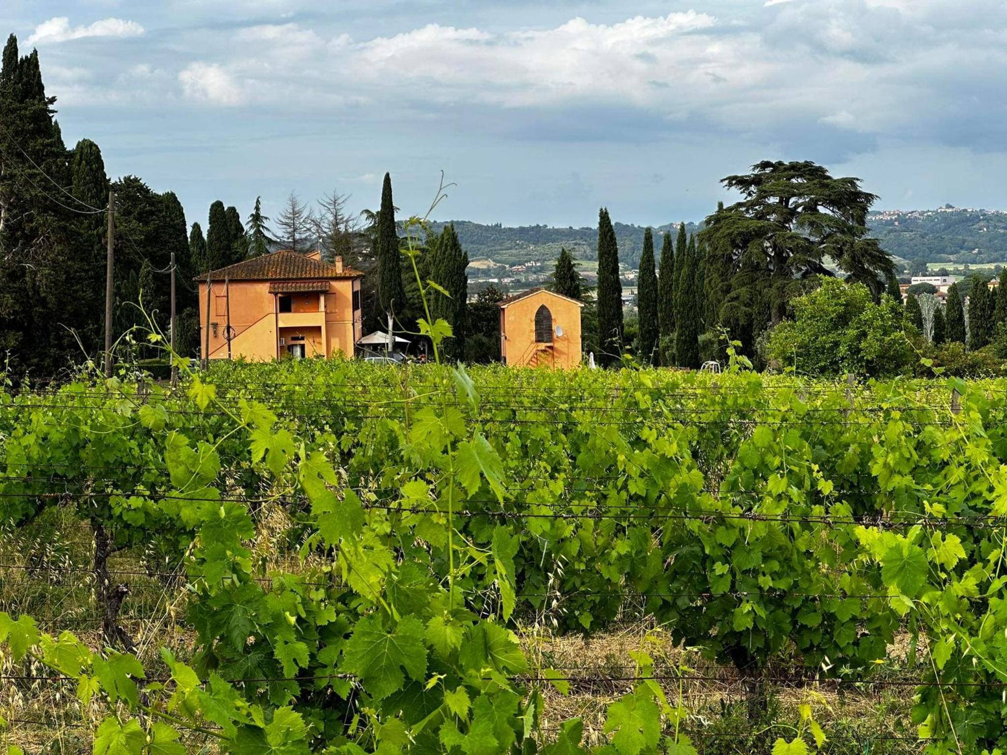 Agriturismo Terra Di Dio Toscanizzazione
